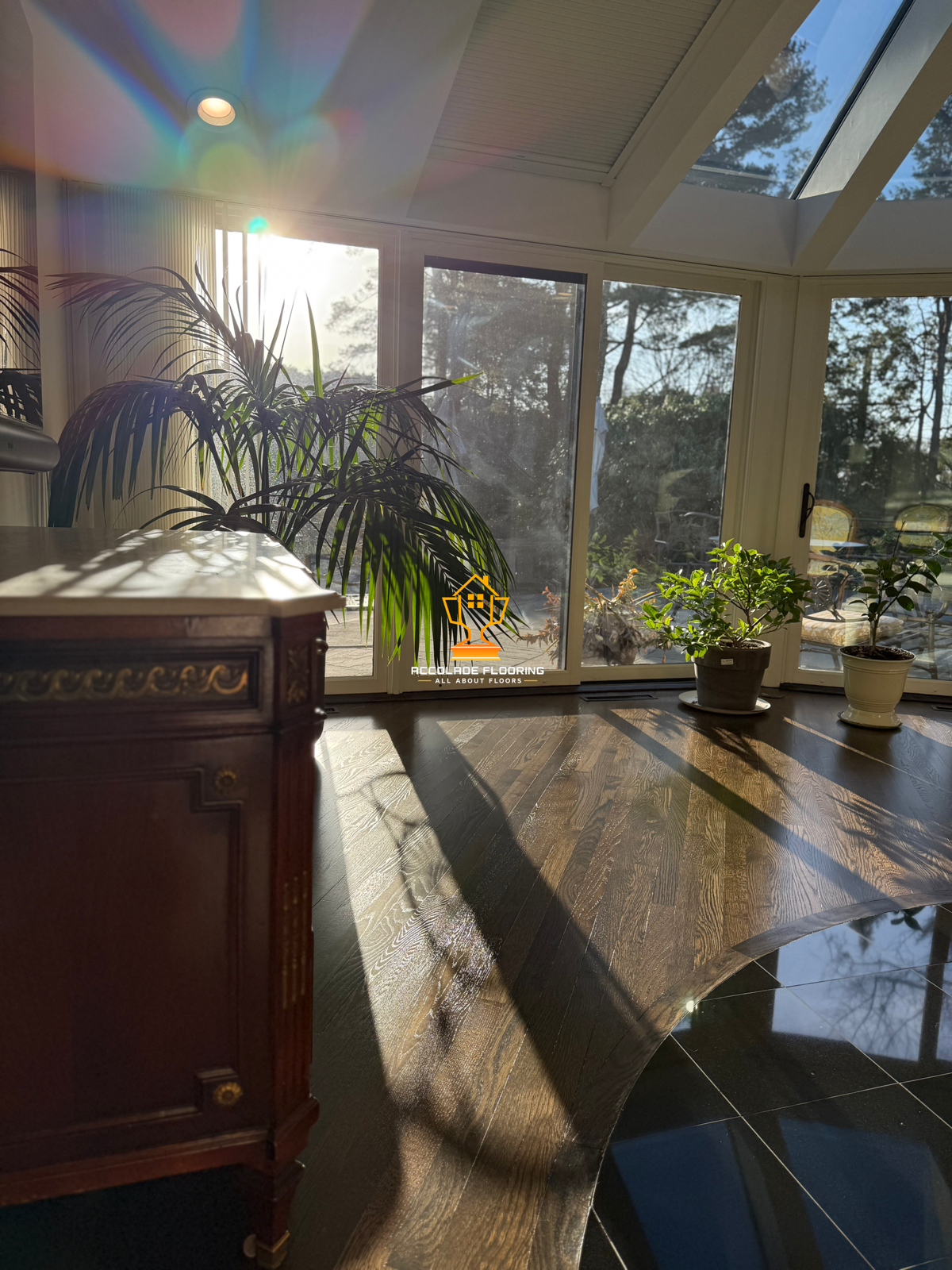 Sunlight streaming through large glass sliding doors into a room with potted plants and wooden flooring, creating shadows on the floor.