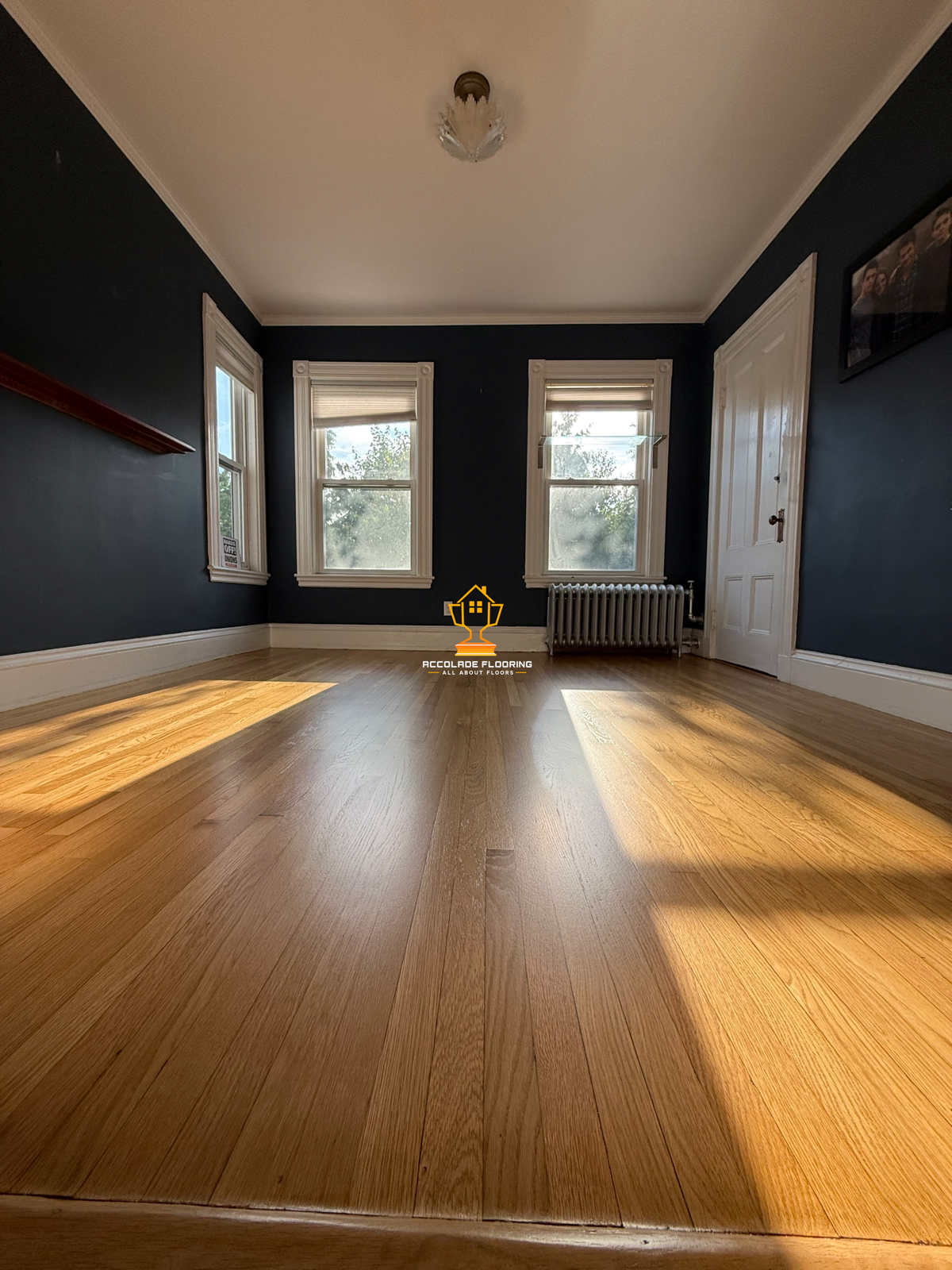 Empty room with dark blue walls, three windows with white trim and blinds, hardwood floor, white door, radiator, and a ceiling light fixture.