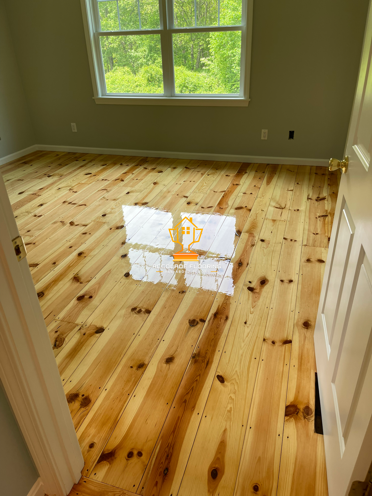 Room with new wooden floorboards, fresh and shiny, with a logo in the center. Green trees and bright sky seen through the window.
