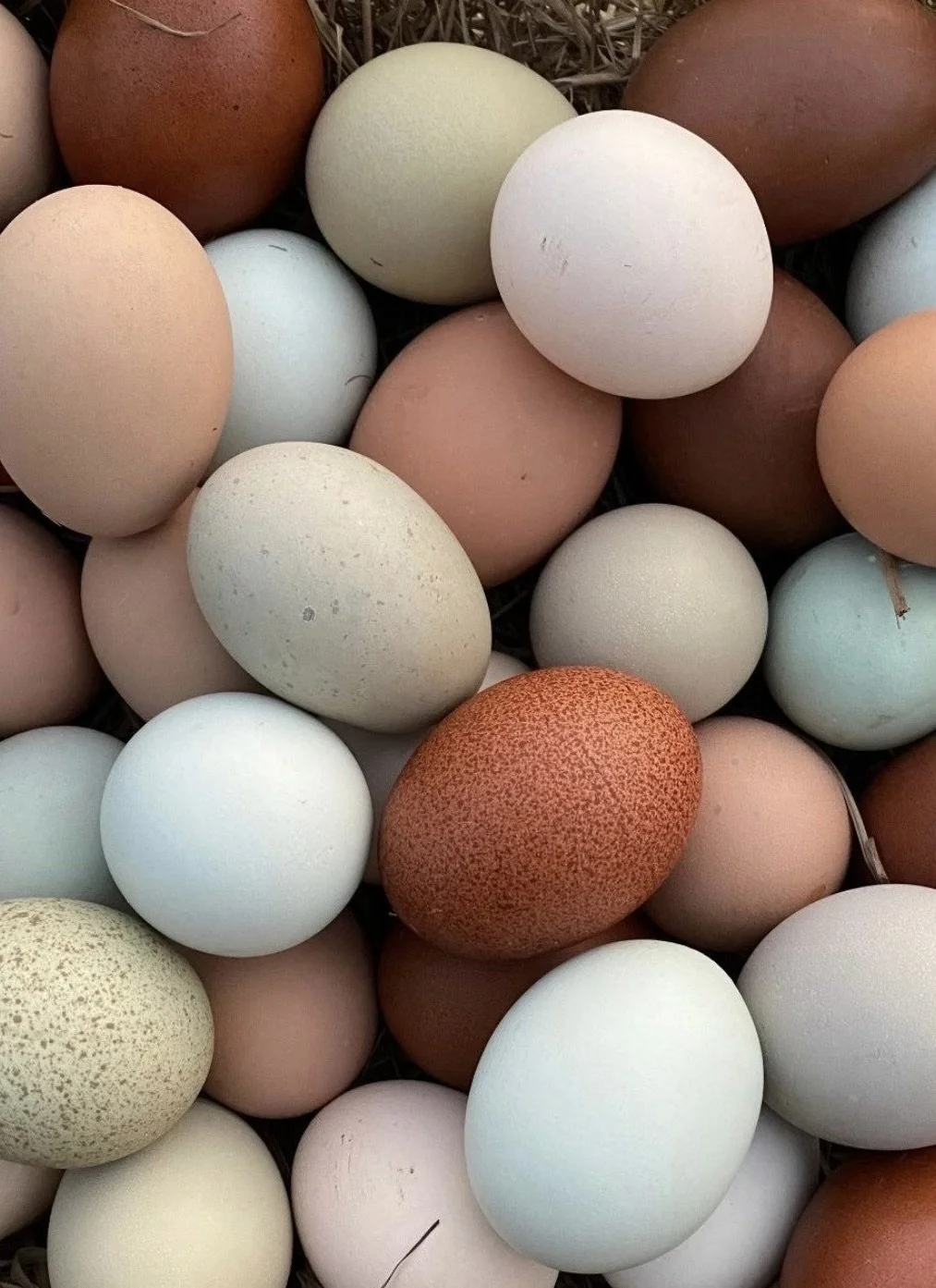 A collection of various colored eggs, including white, brown, light blue, and speckled brown, arranged closely together.