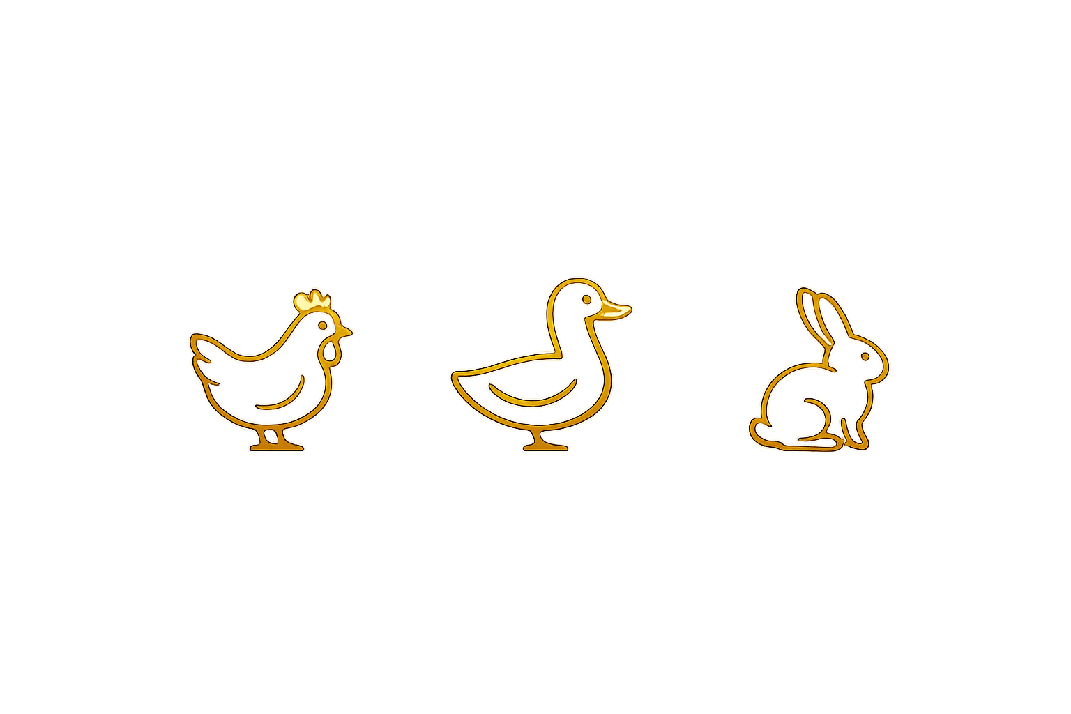 Sequence of illustrations depicting the life cycle of a chicken: a hen, a duck, and a rabbit.