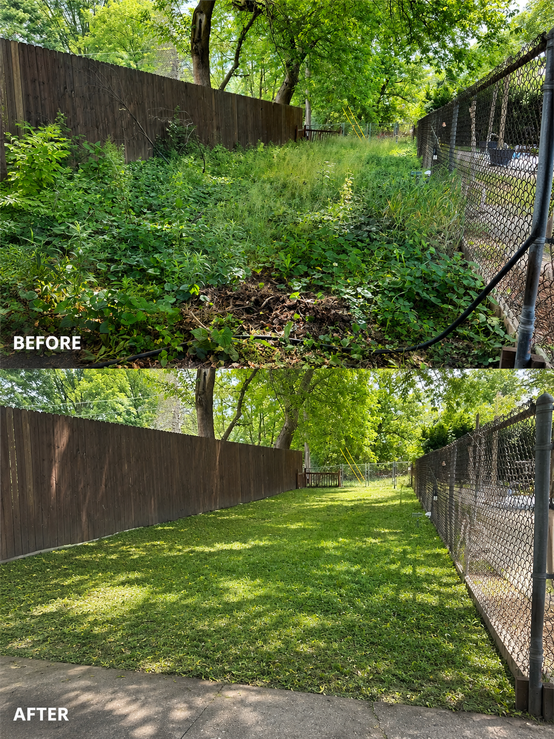 Side-by-side comparison of a backyard before and after yard cleanup. The before image shows overgrown weeds, tall grass, and tangled plants along a fence. The after image shows the yard cleared, with a well-maintained lawn, short grass, and no weeds, with trees providing shade.
