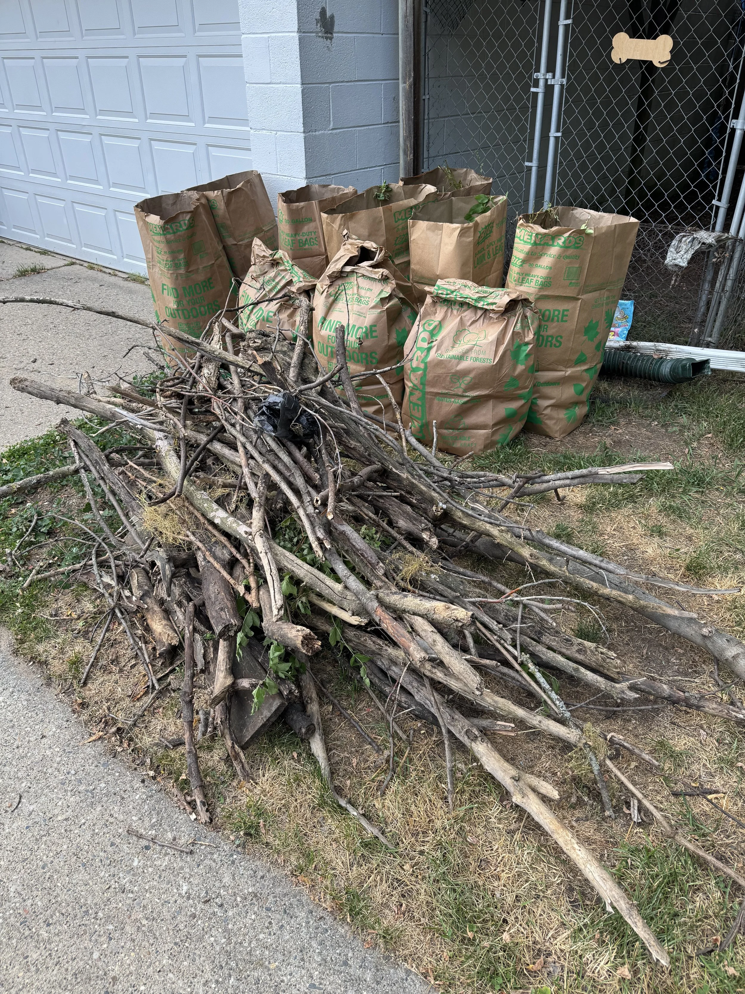 A pile of broken branches and twigs on the ground next to a grassy area and a concrete sidewalk. In the background, there are brown paper yard bags filled with plant debris, placed near a white garage door and a chain-link fence with a dog bone-shaped sign.
