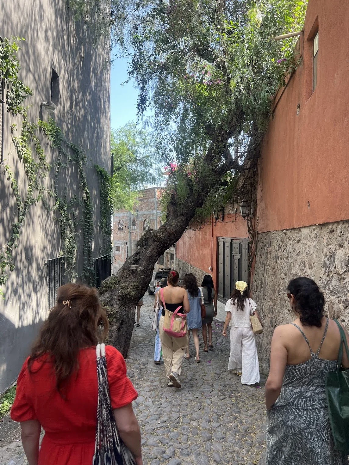 san miguel de allende yoga retreat 