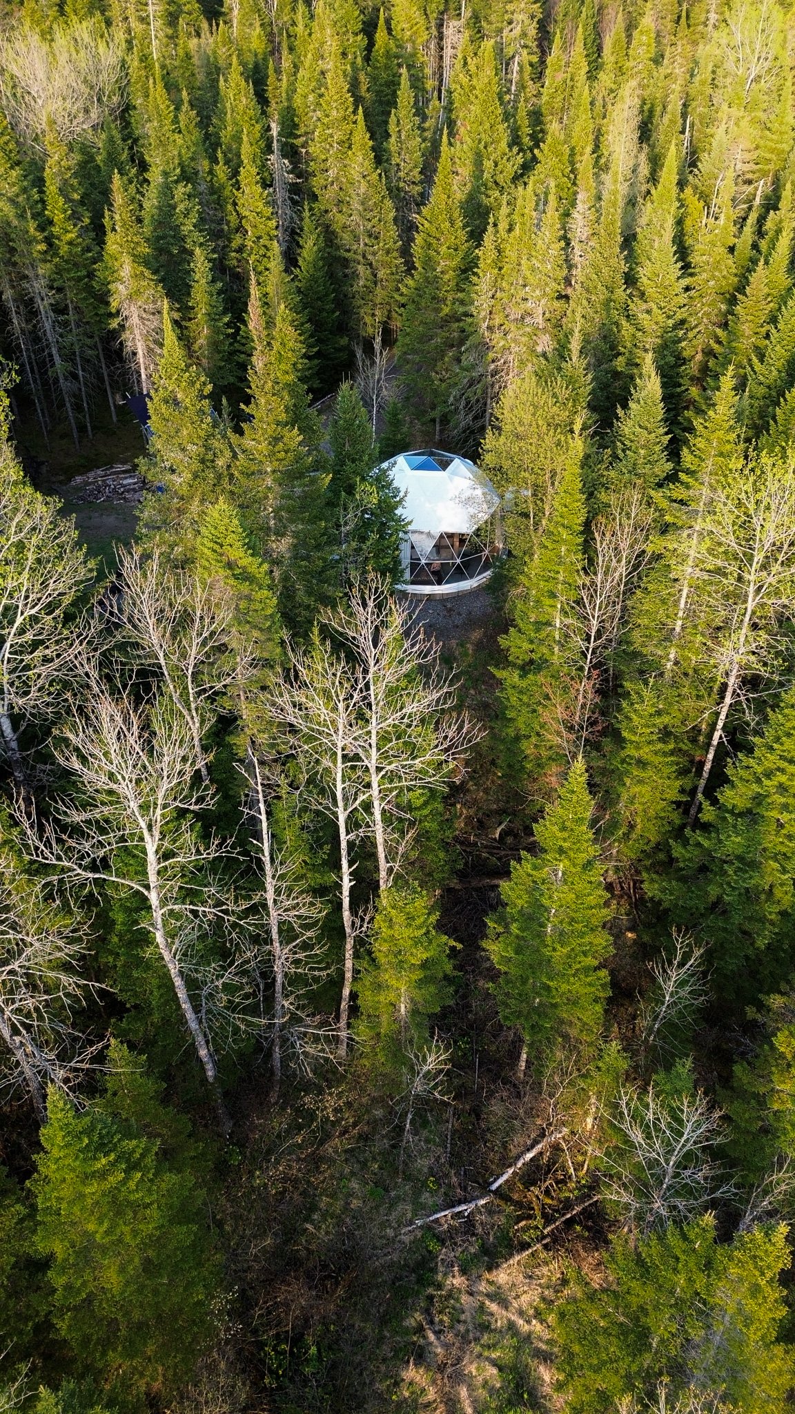 dji_fly_20260518_191050_10_1779146081536_photo_optimized.jpg