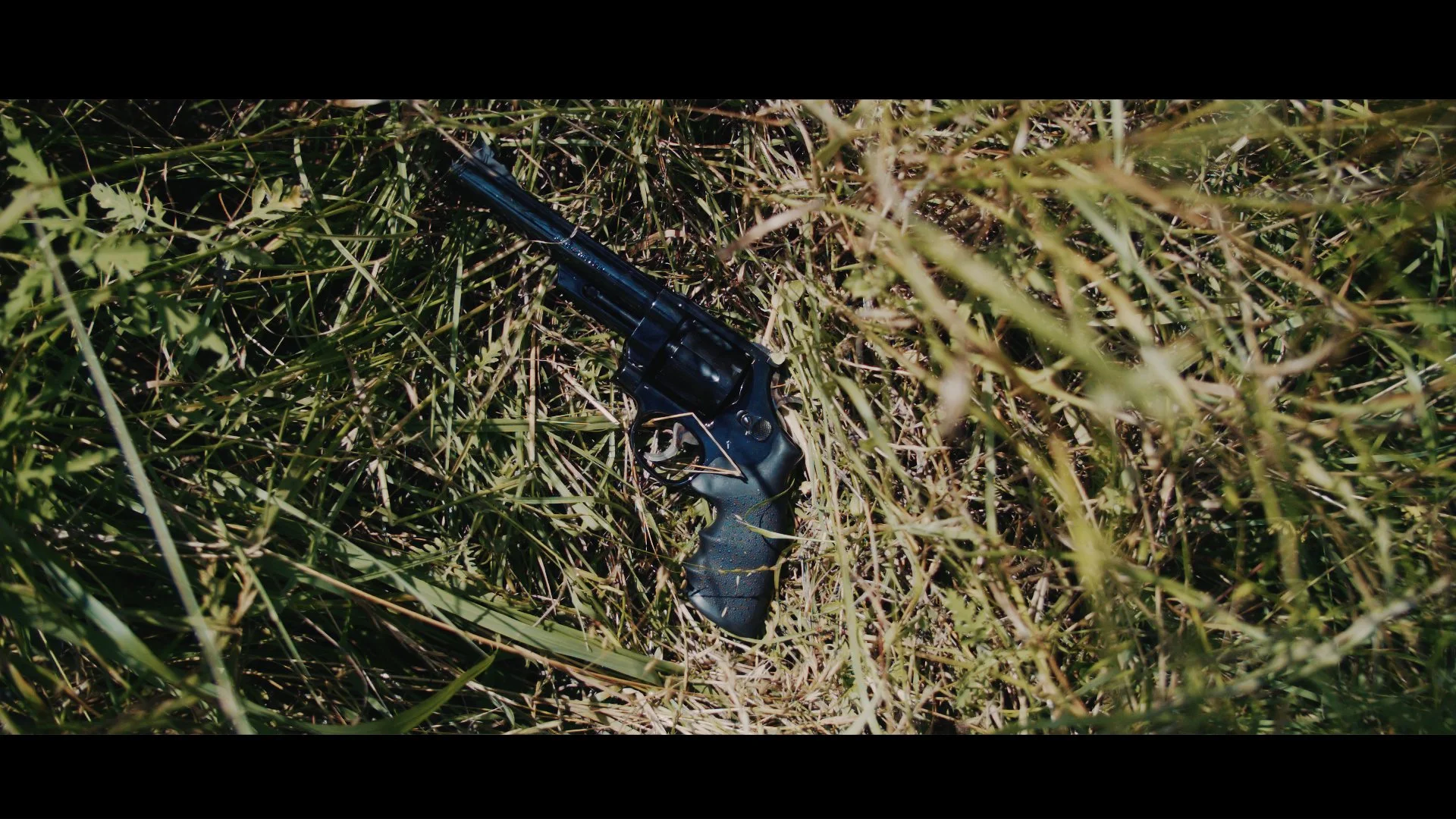 gun_1.29.1.jpg