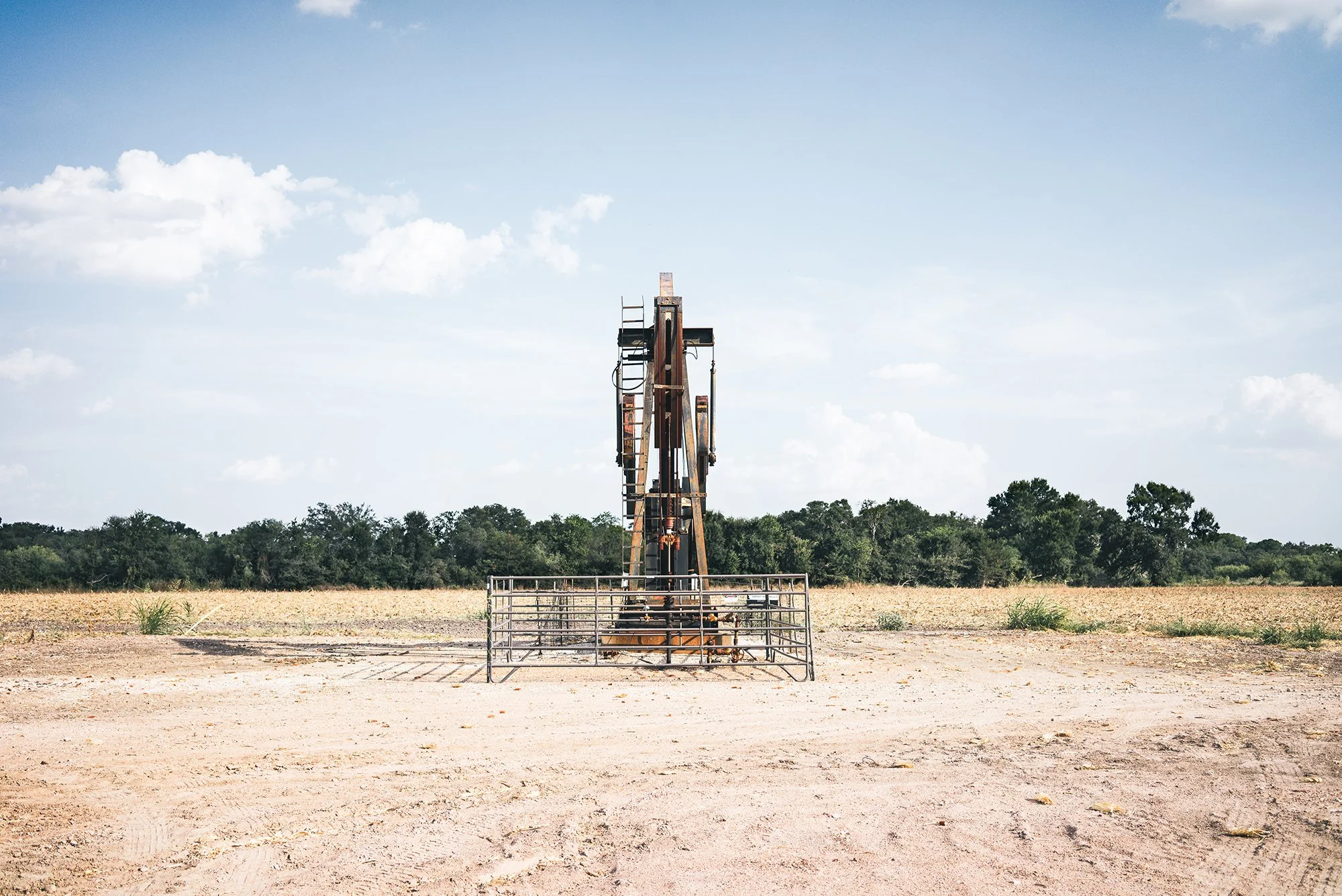 Shale__002.jpg