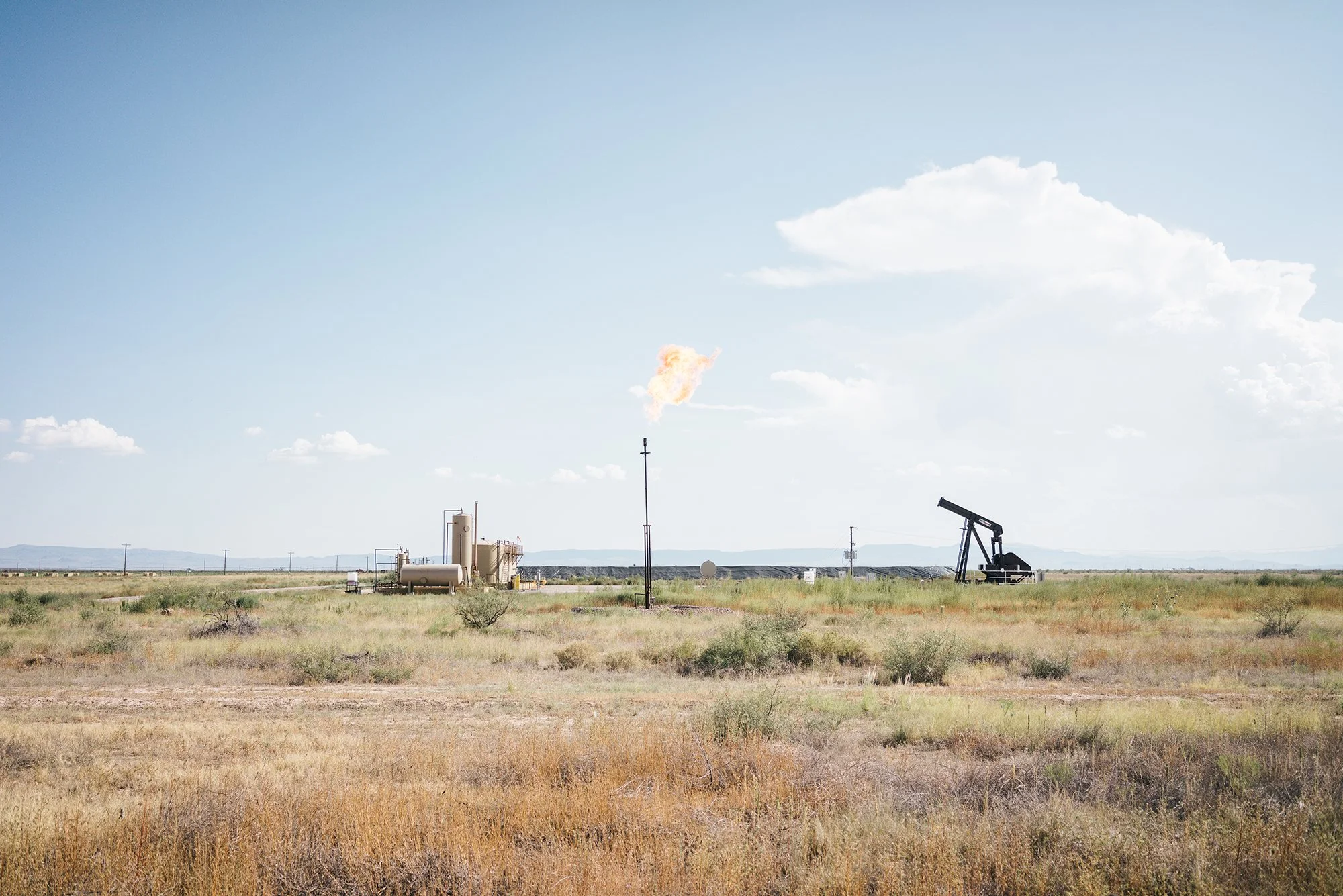 Shale__022.jpg