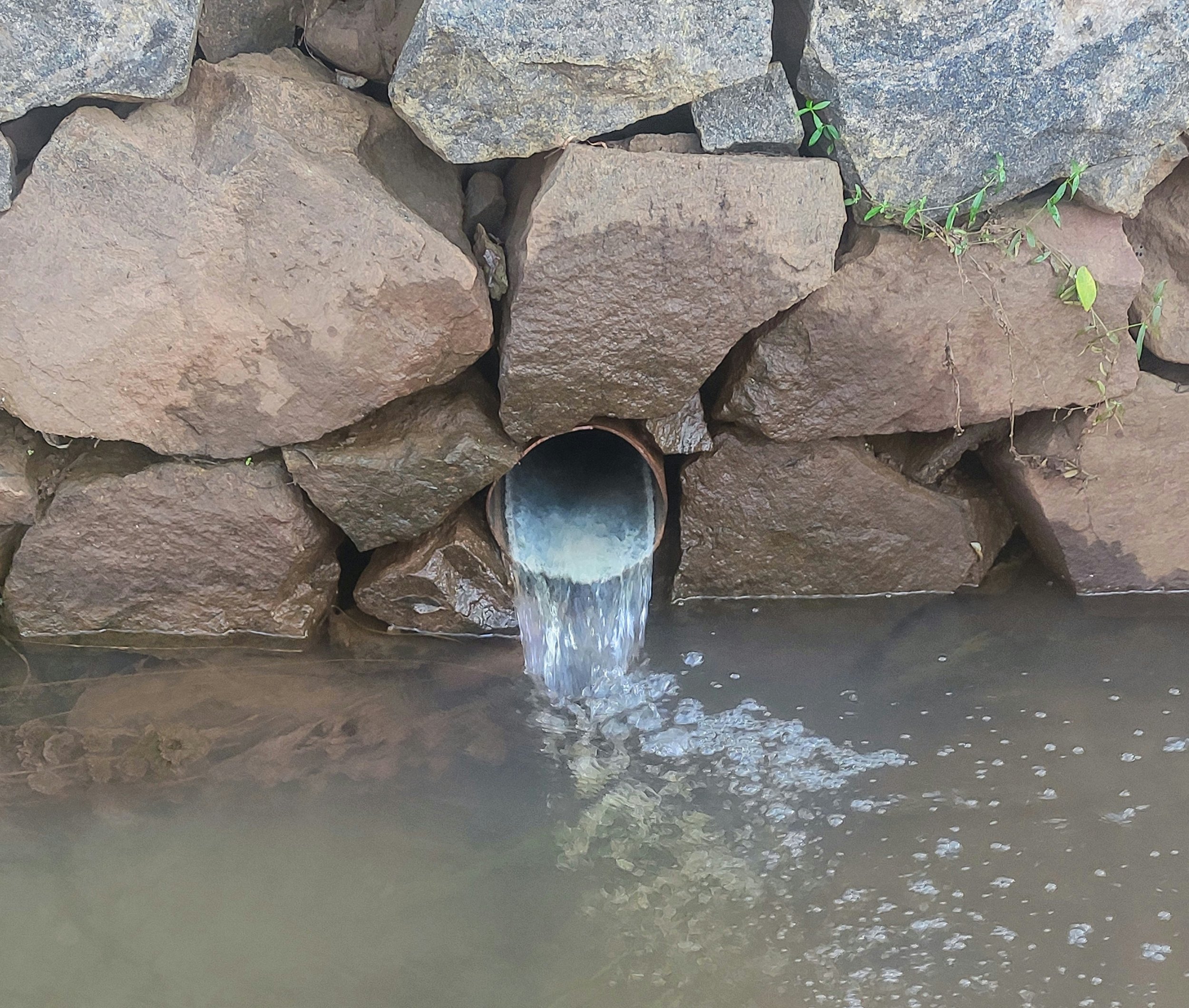 A stone wall with stones of various sizes and colors, with a small plant growing between the stones, and water flowing underneath.