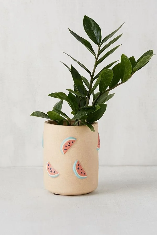 watermelon planter.jpg