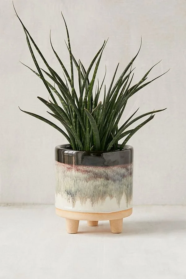 Urban Outfitters