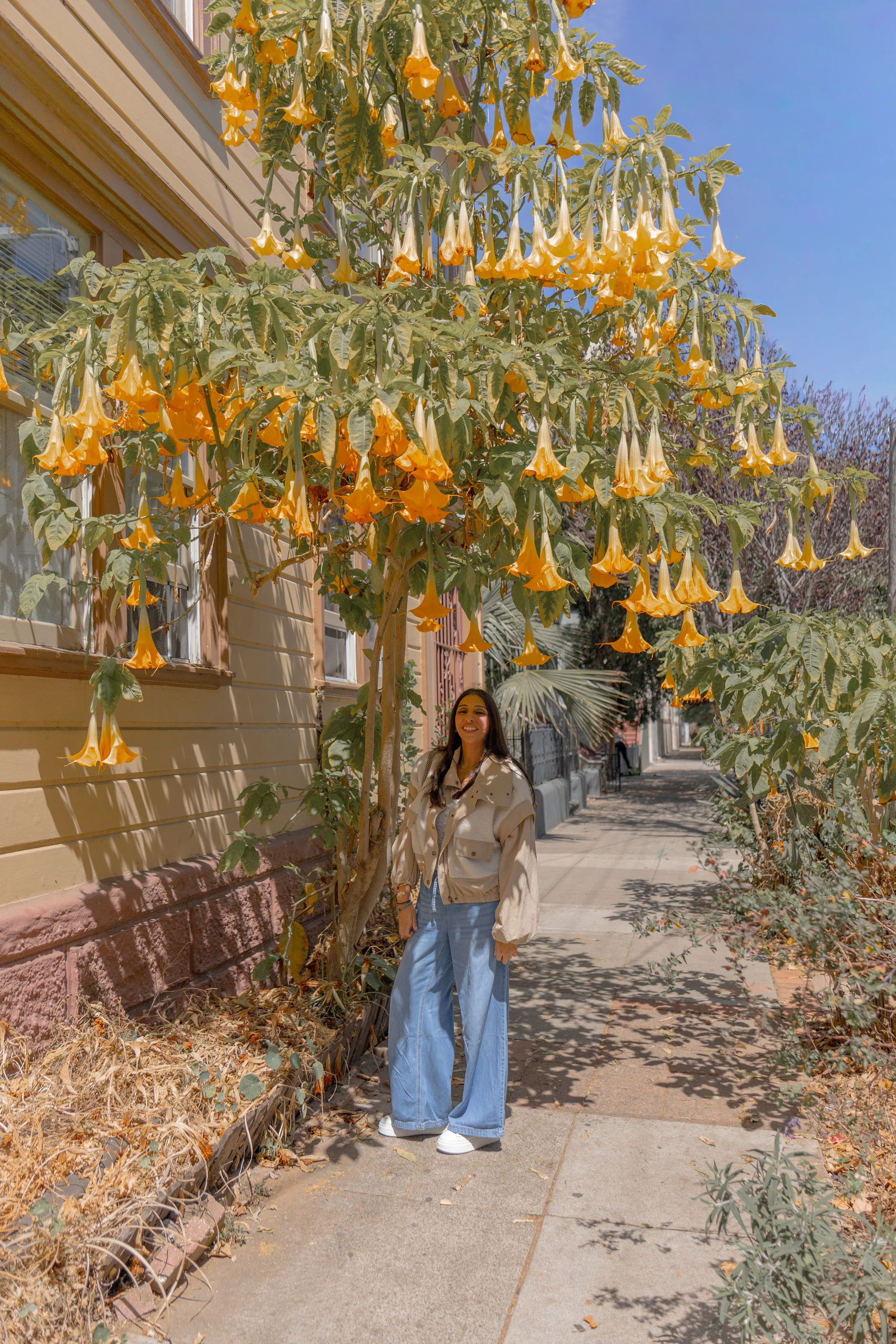 Srishti Orange Tree.jpg