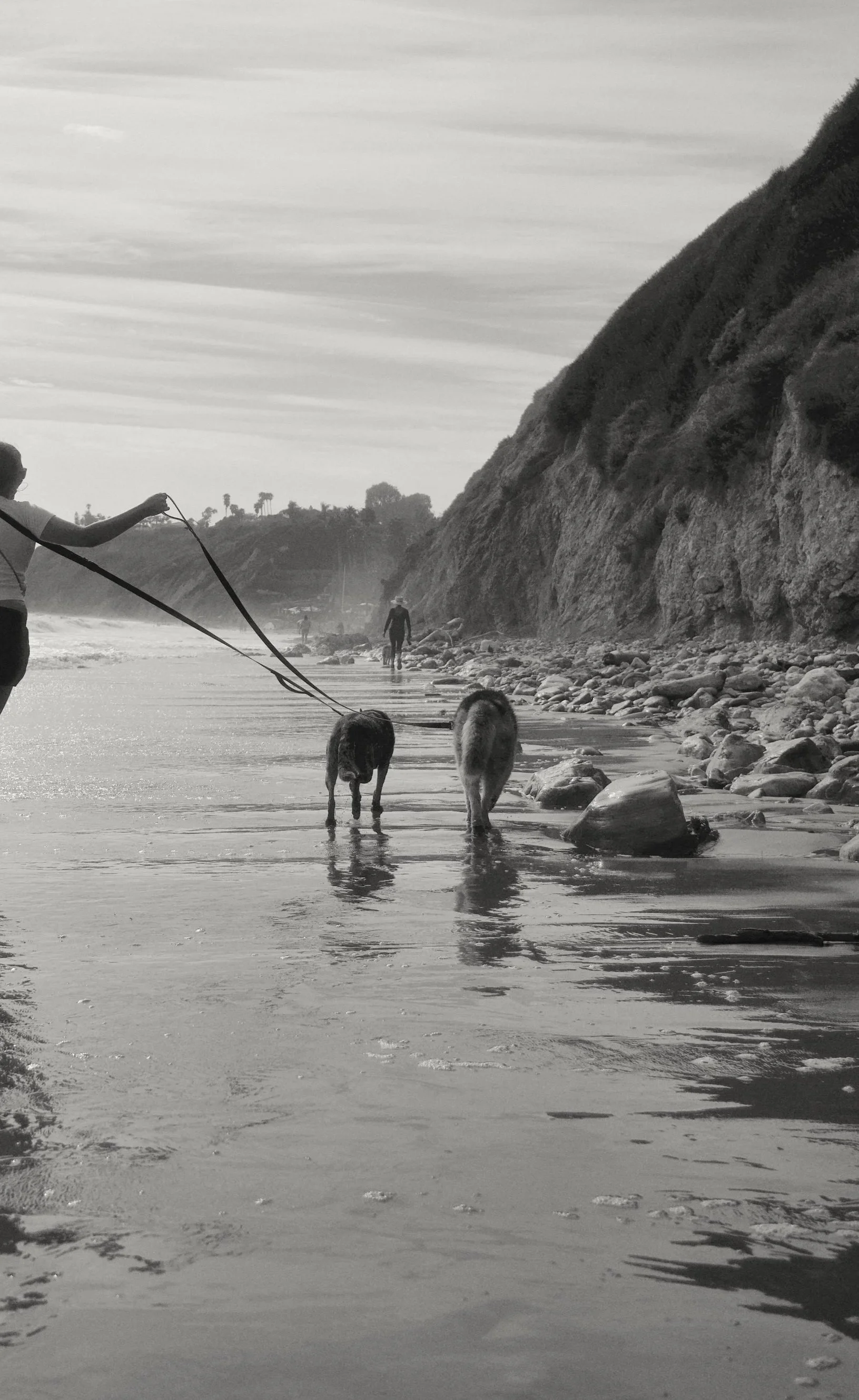 A black and white photo of two dogs on a beach with two people, one holding their leashes. The dogs are standing on the wet sand near the water, while the people are further back. A rocky cliffside is on the right, and a distant hill with trees is visible in the background.