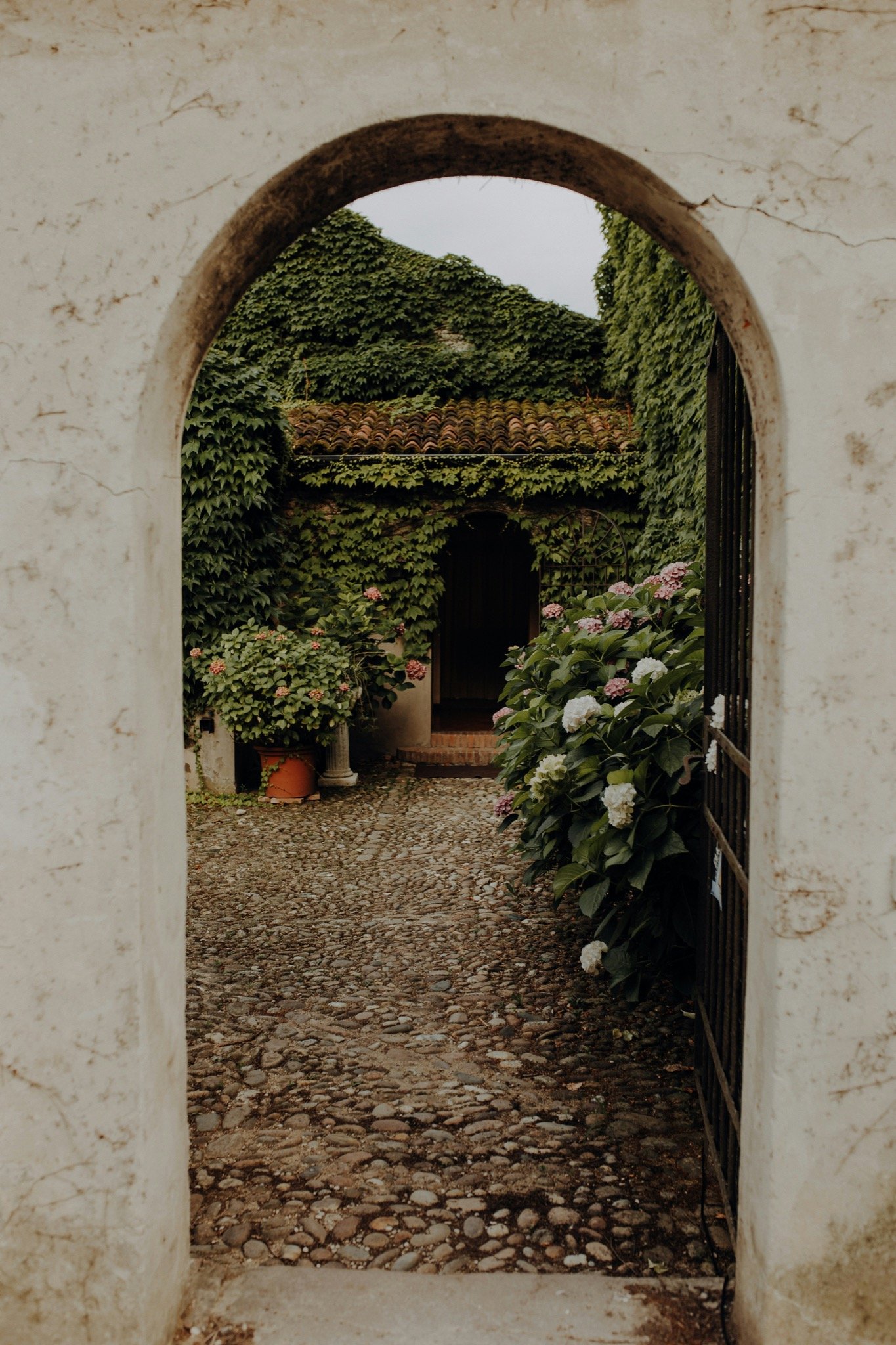 A cobblestone pathway leads through a white stucco archway into a garden with a building covered in green ivy and blooming hydrangeas.