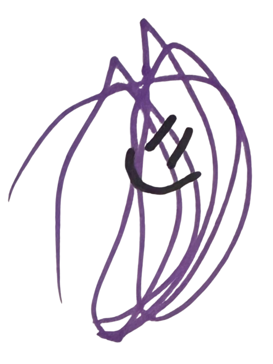 The Scribble
