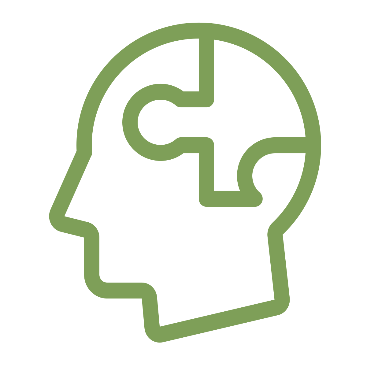 Outline of a human head in green with a galaxy-shaped puzzle inside representing mental health or cognitive processes.
