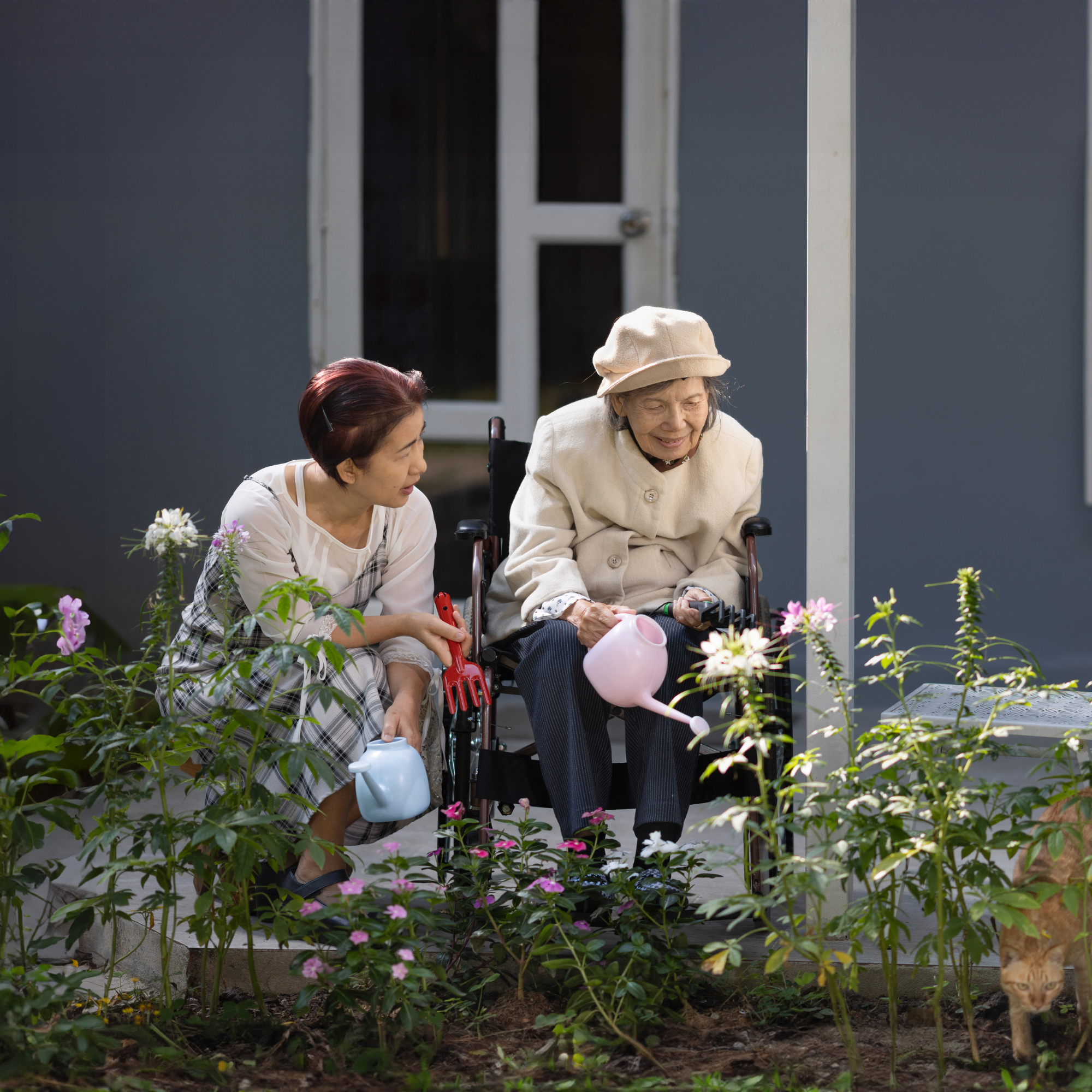 Three women, including an elderly woman in a wheelchair, gardening with pink and white flowers, a gray house with a window in the background, and a ginger cat walking in the garden.