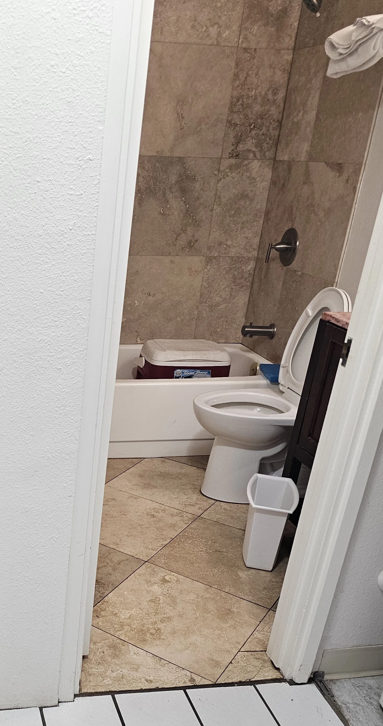 Before: Bath Remodel