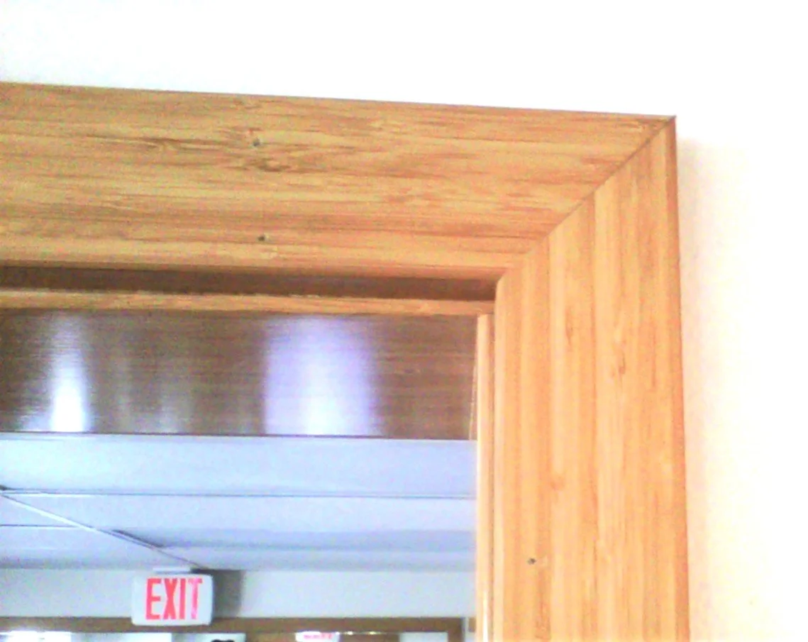 Door Trim/Mold replacement
