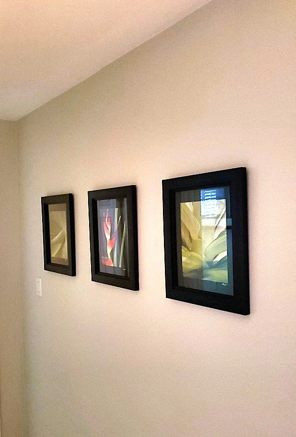 Photo Hanging