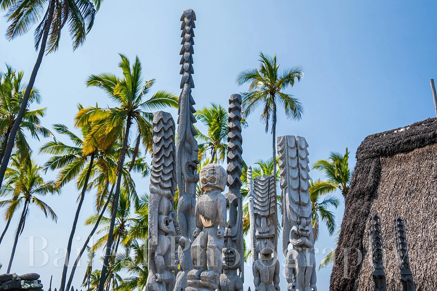 Hawaiian Ki'i