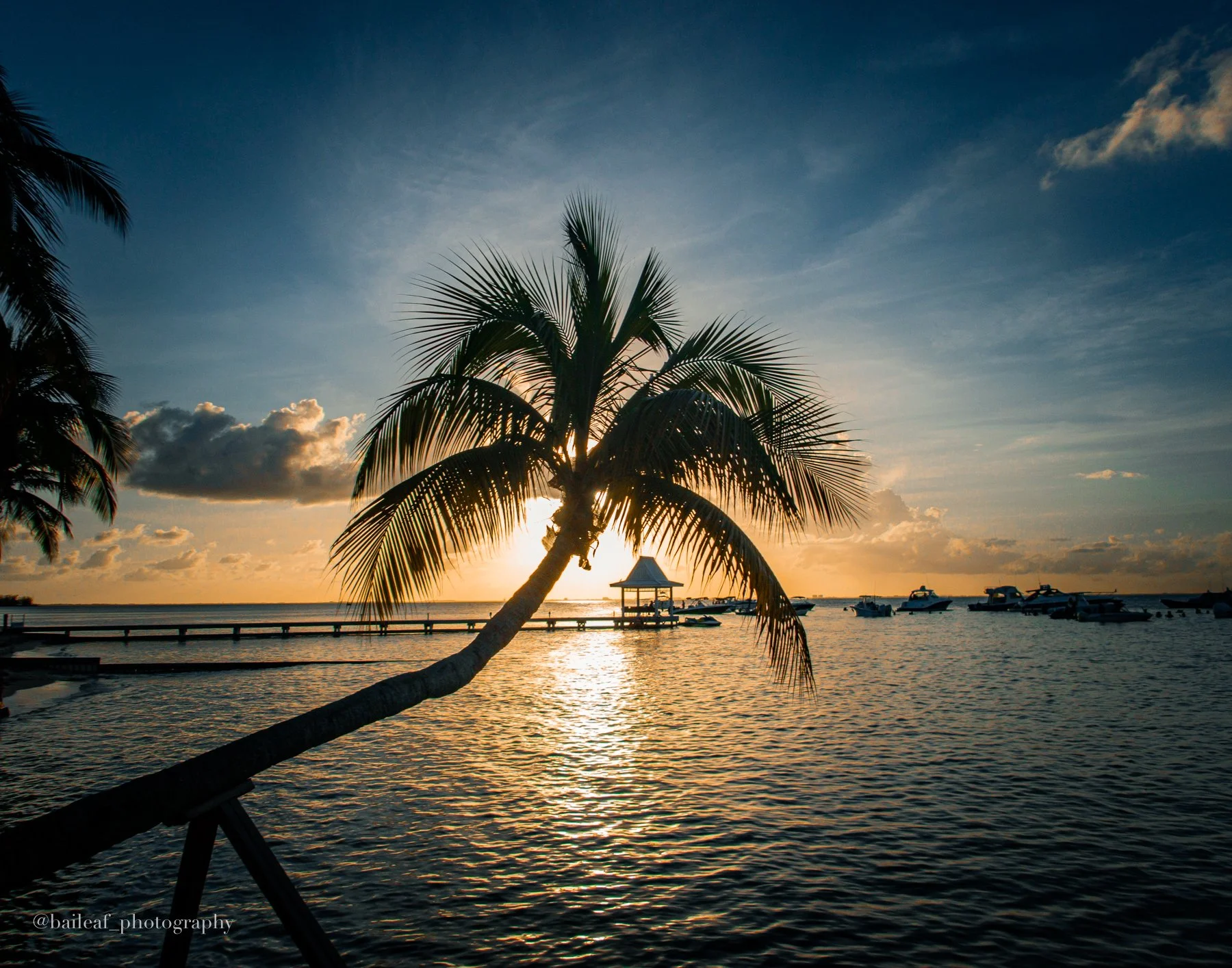 Palm Sunset