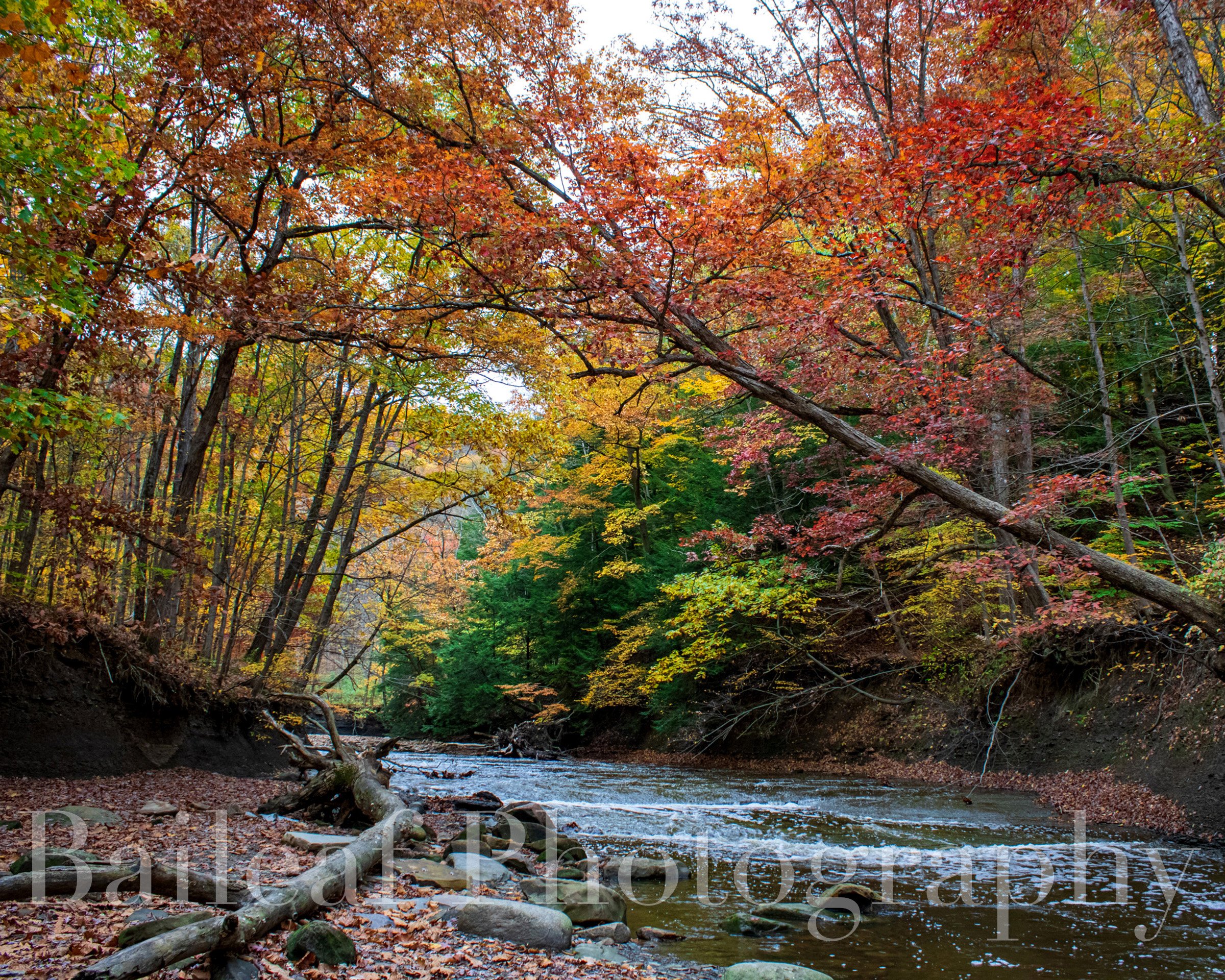Brandywine River