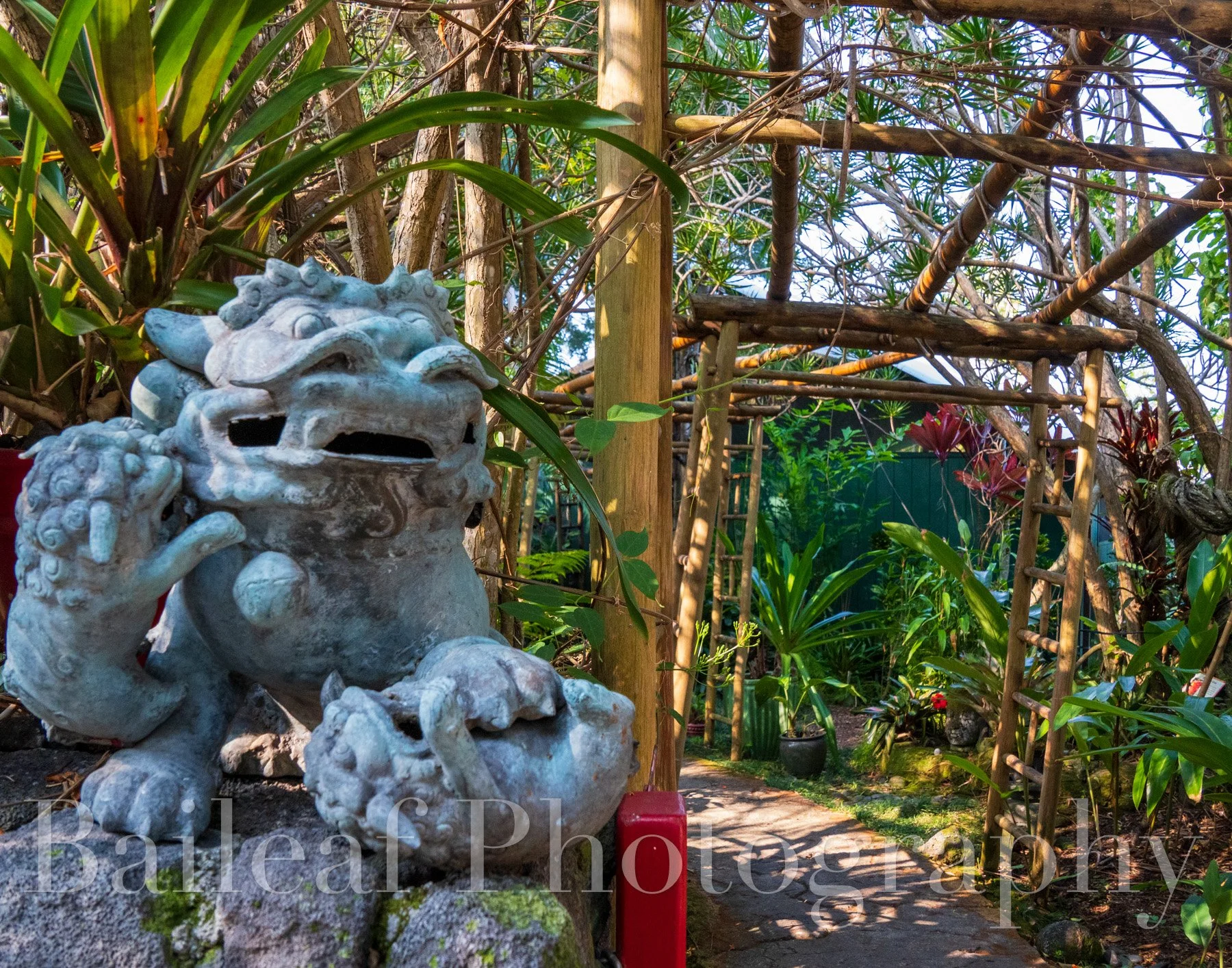 Fu Dog Botanical Garden
