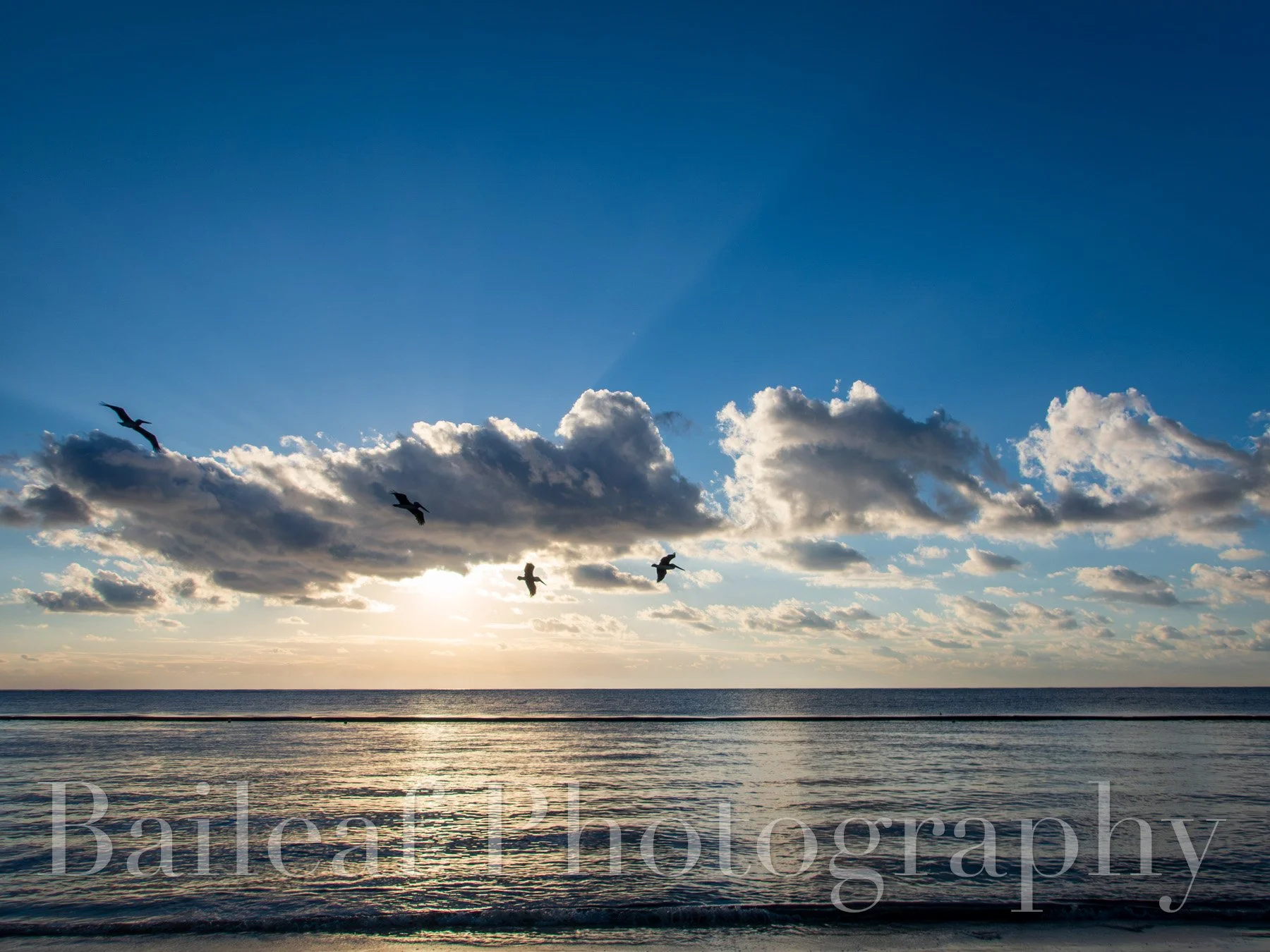 Pelican Sunrise (Mexico)