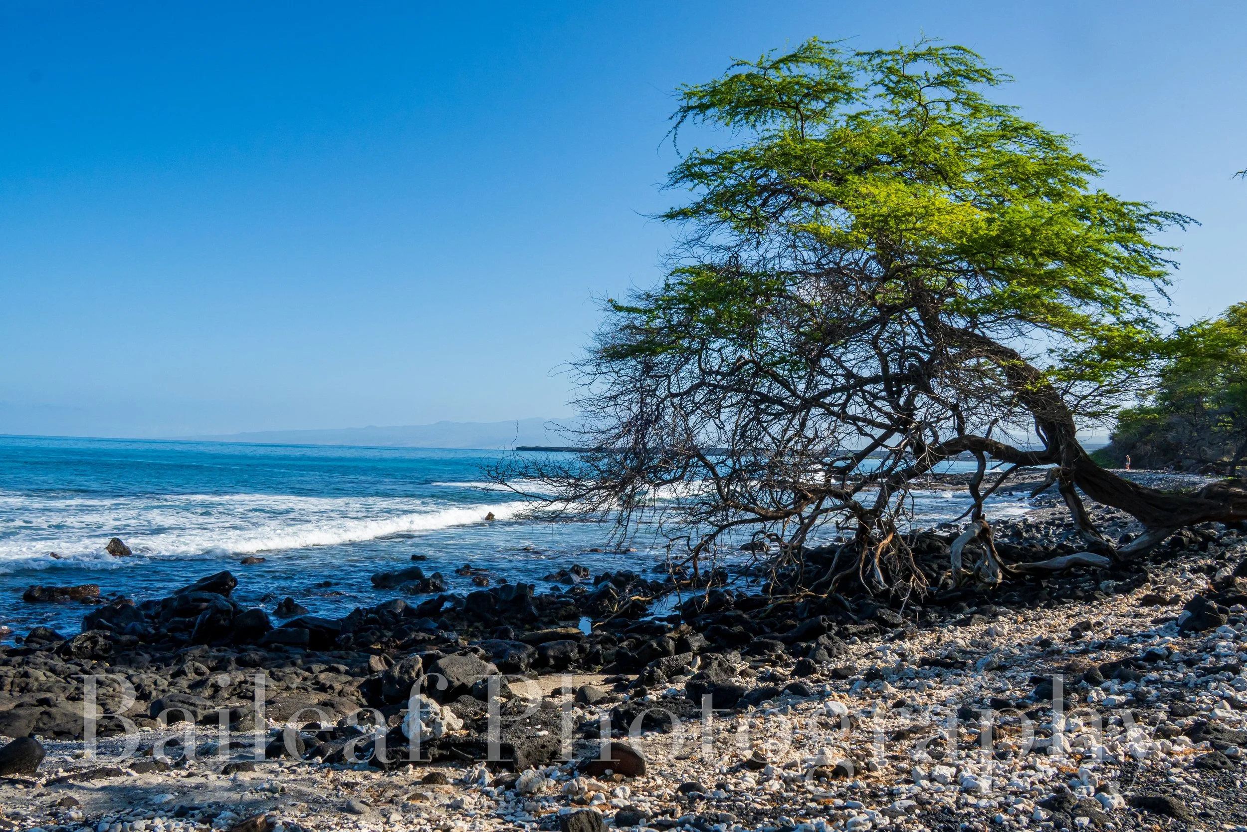 Hawaiian Black Sand Beach 2