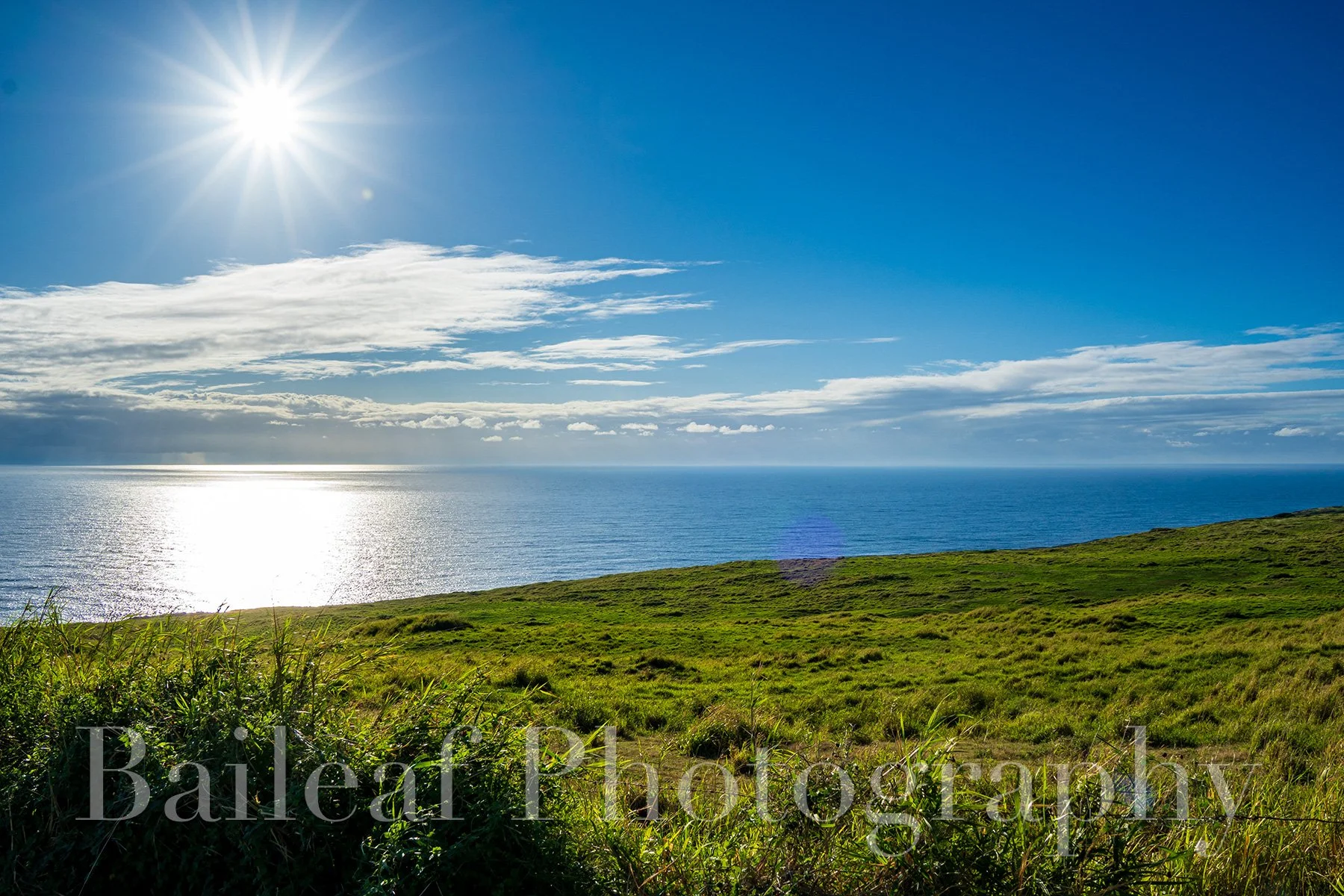 Hawaiian Landscape 2