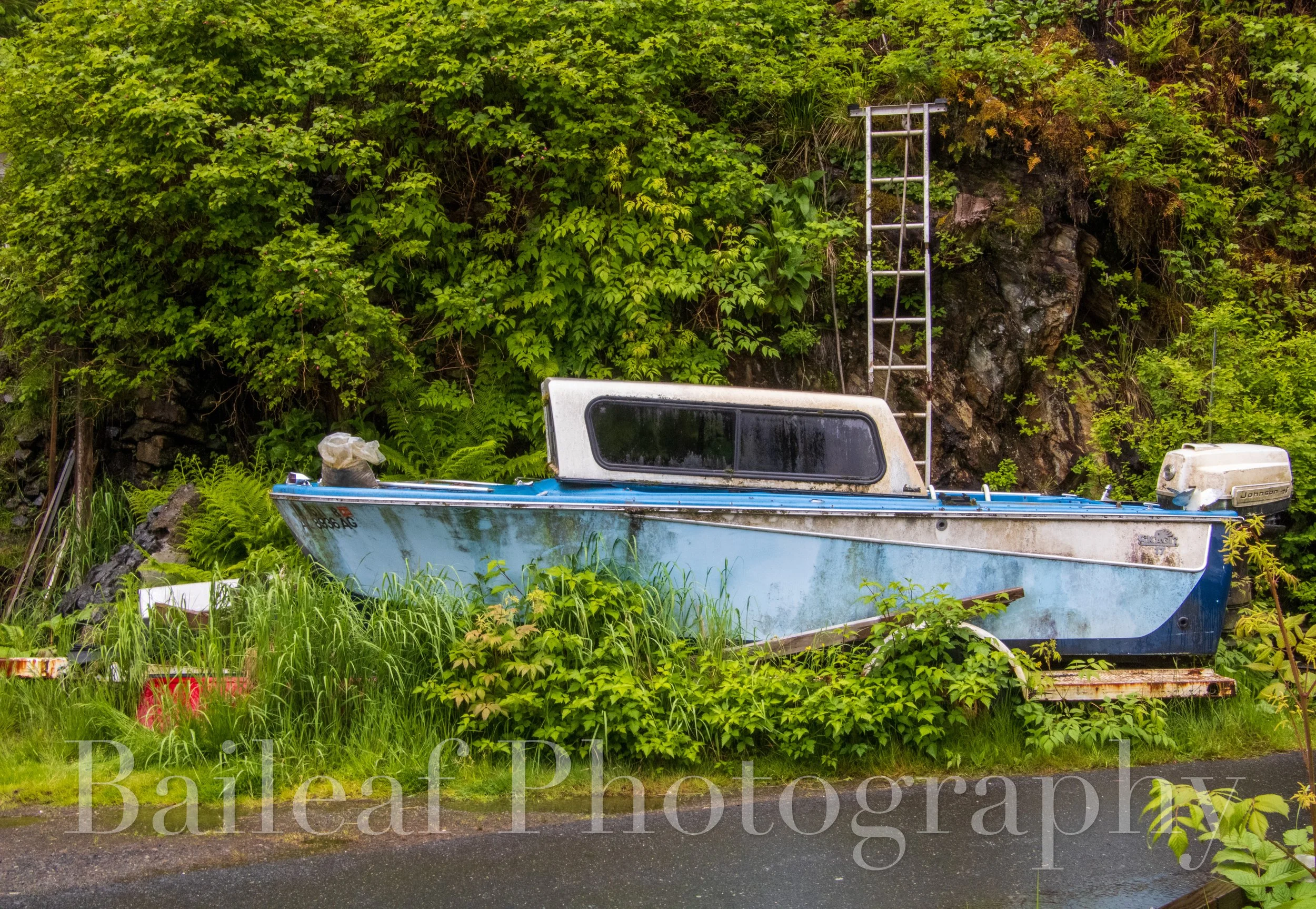Abandoned Boat