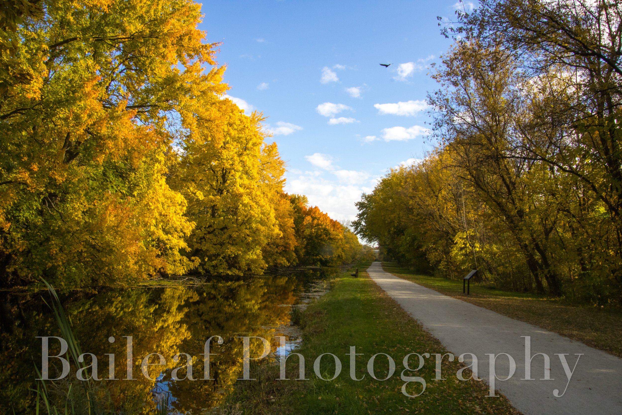 Fall Walk (Ohio)