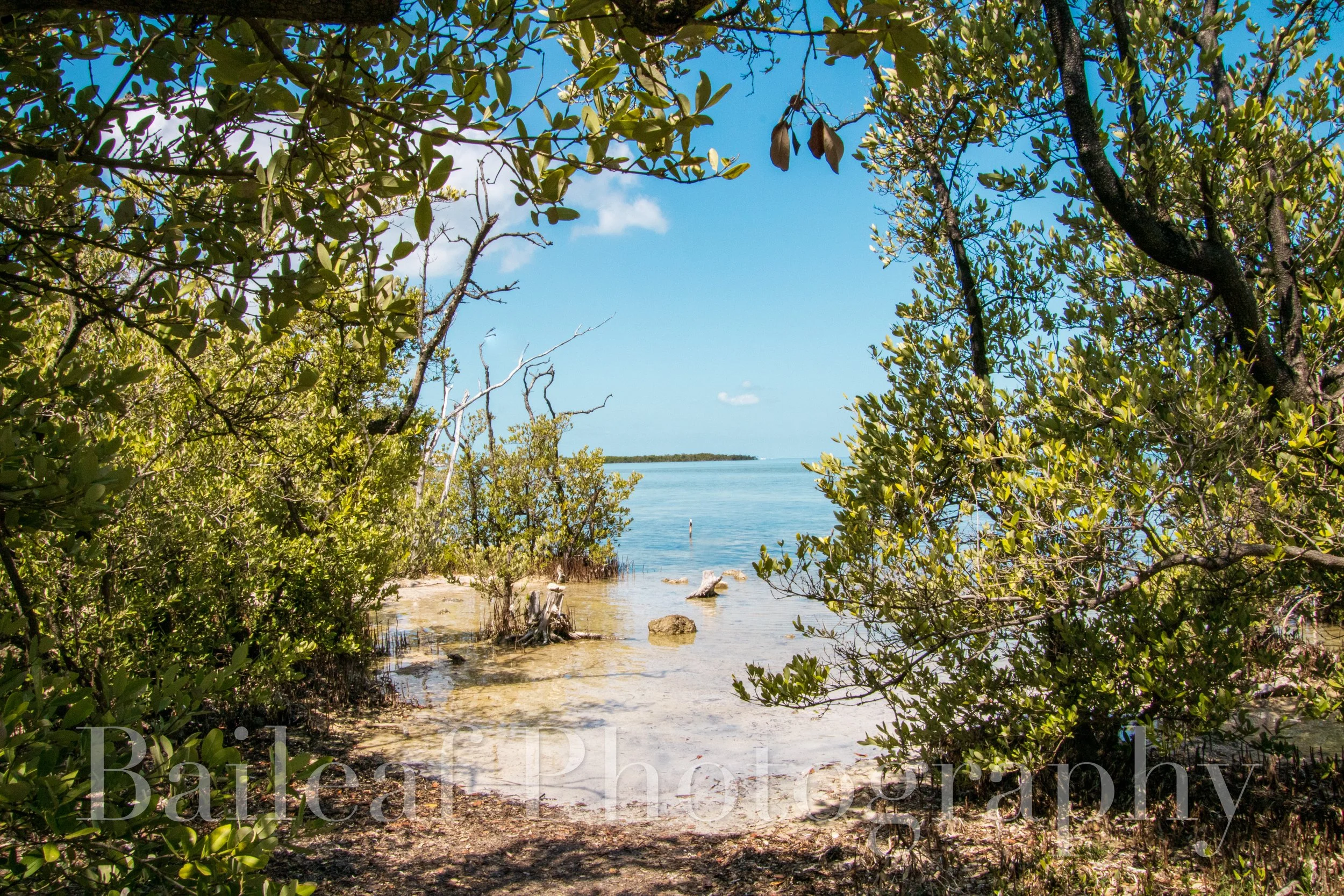 Florida Cove