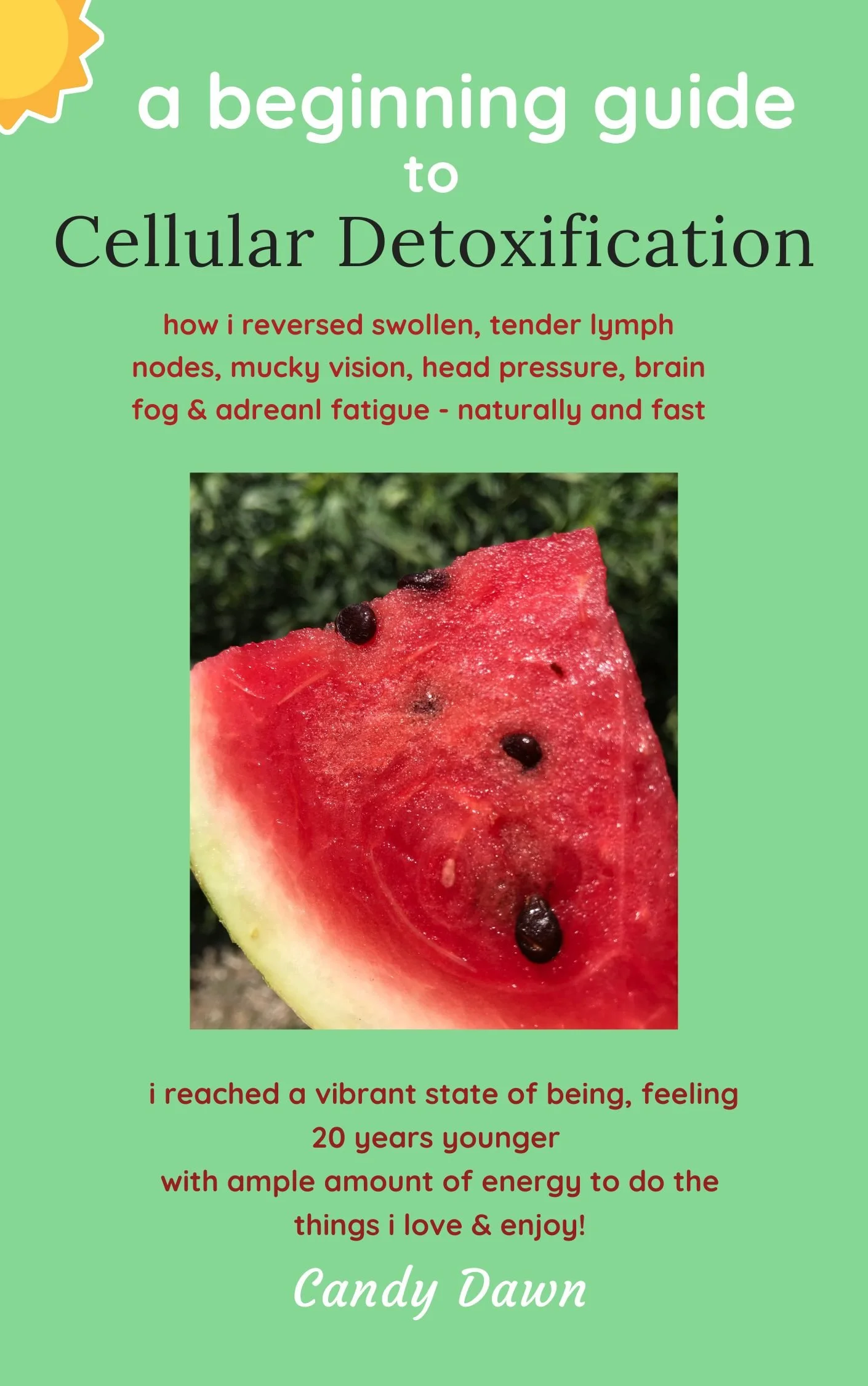 A Beginning Guide to Cellular Detoxification