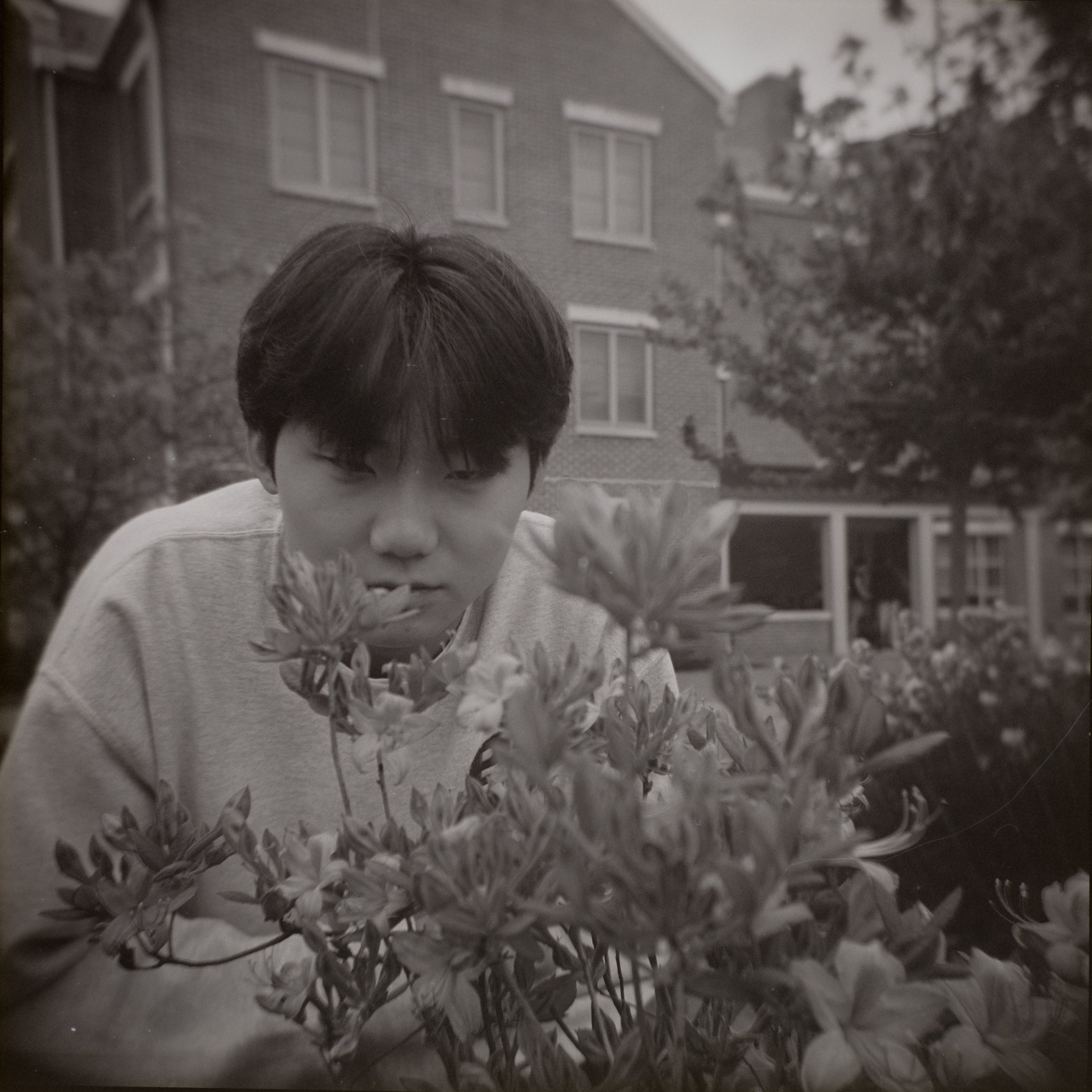 Holga3.jpg