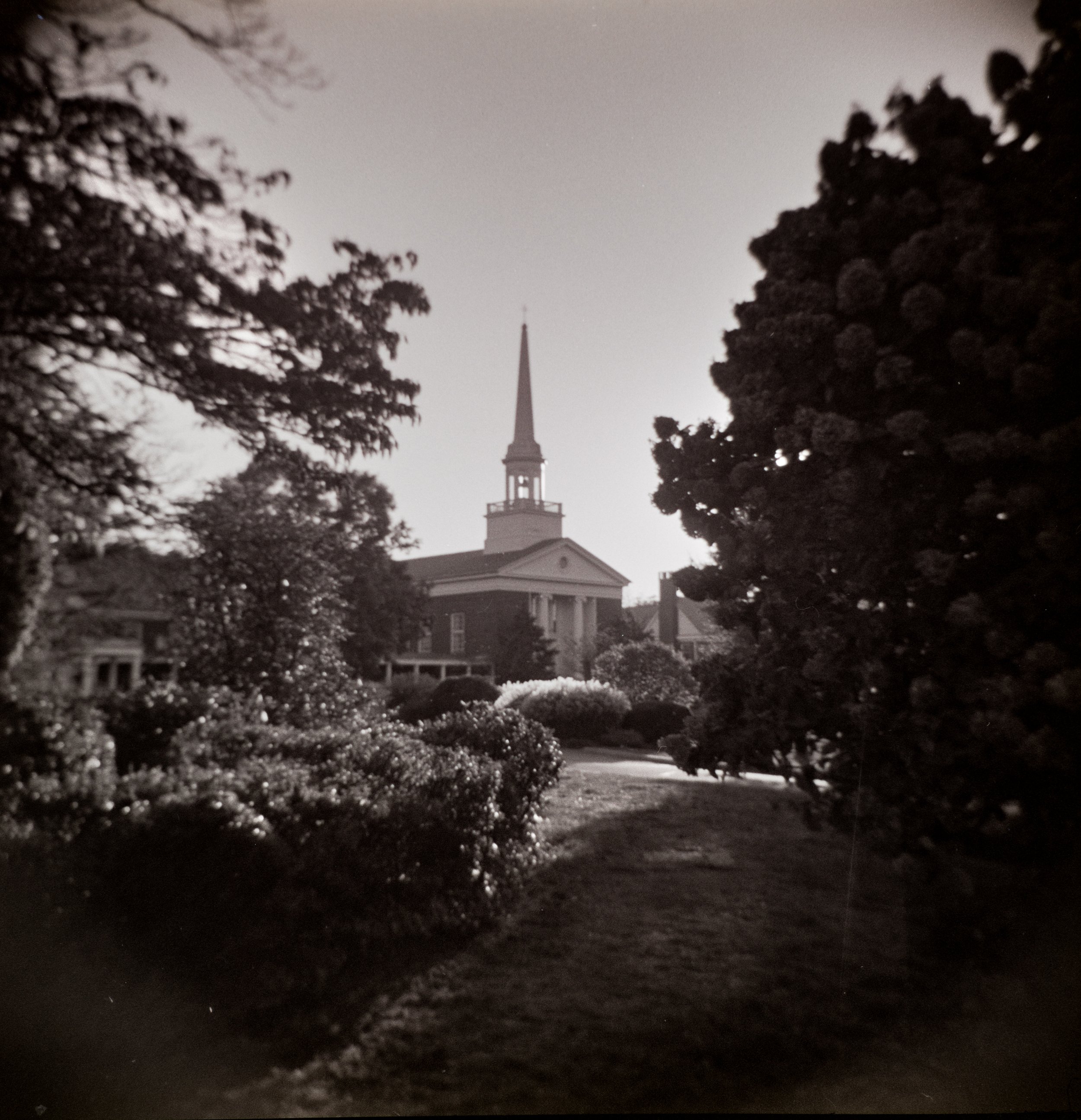 20241025_Holga Camera 1_0004-Edit.jpg