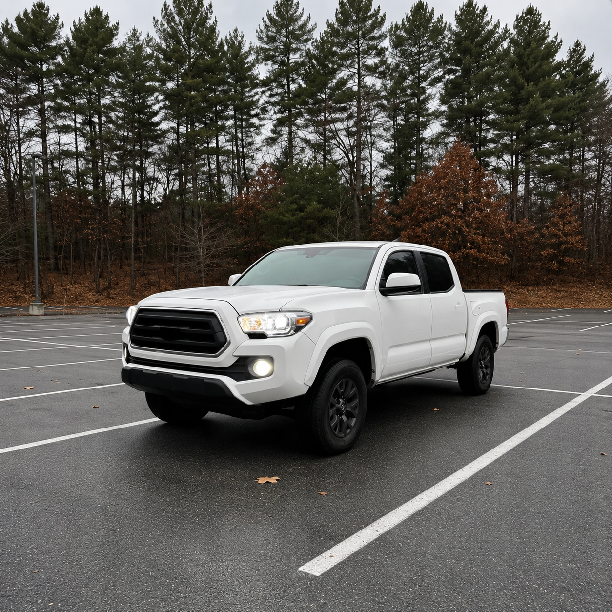008-fog-light-headlight-bulb-toyota-tacoma-2016-2023.png