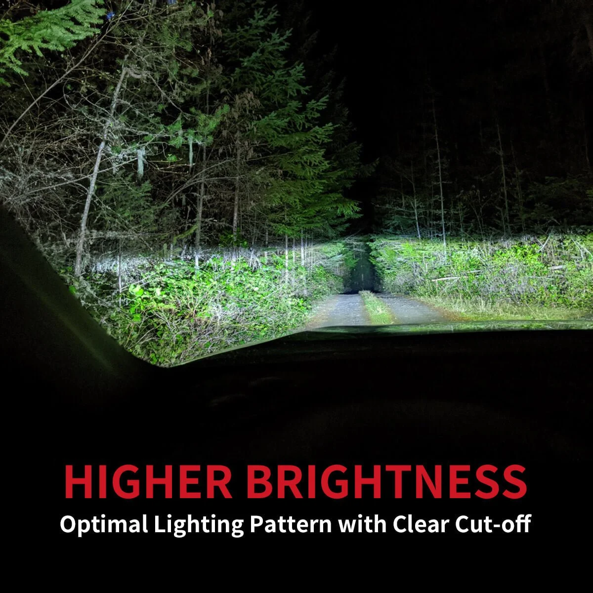 custom-made-D5S-led-bulbs-higher-brightness.jpg