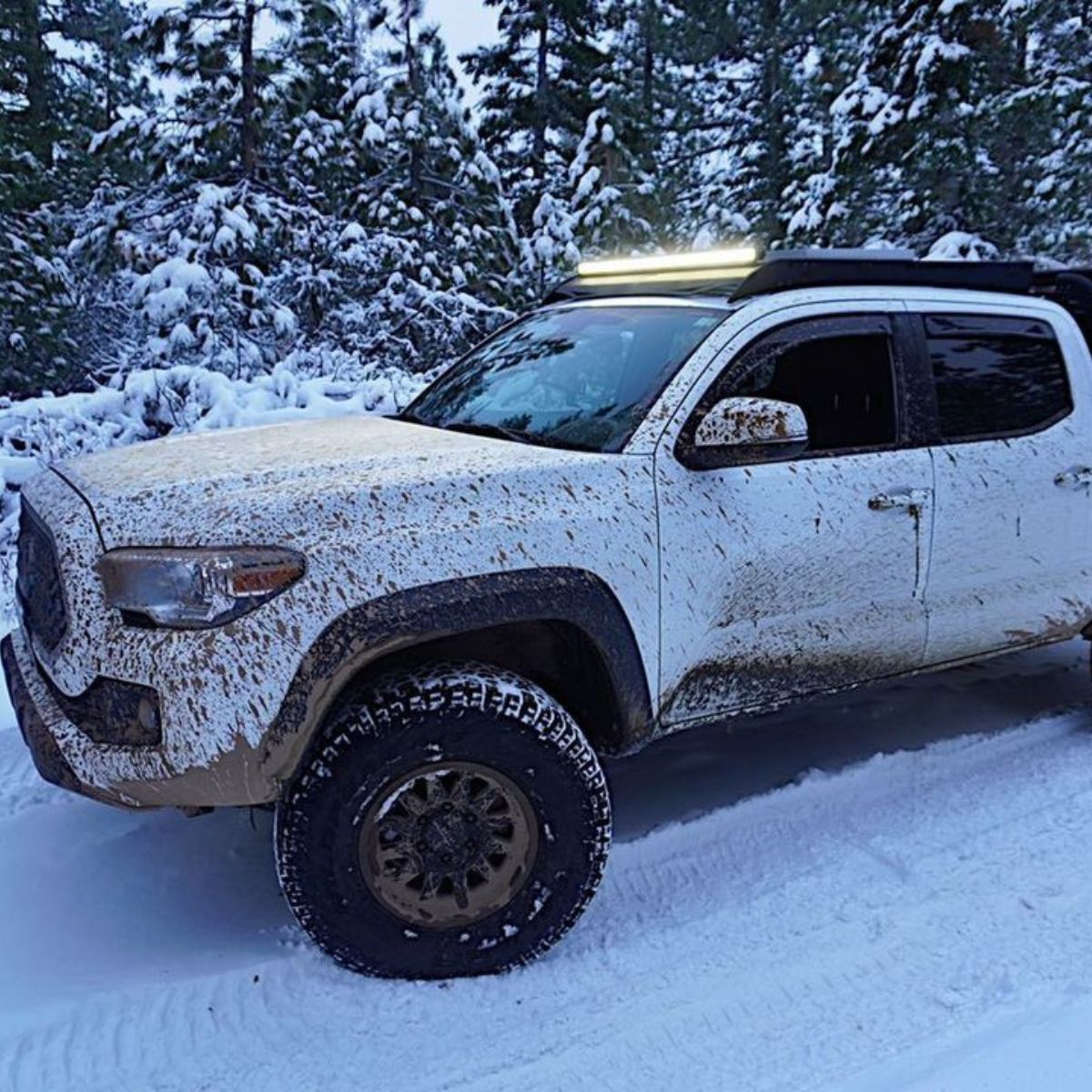lasfitledlightbars_2.png