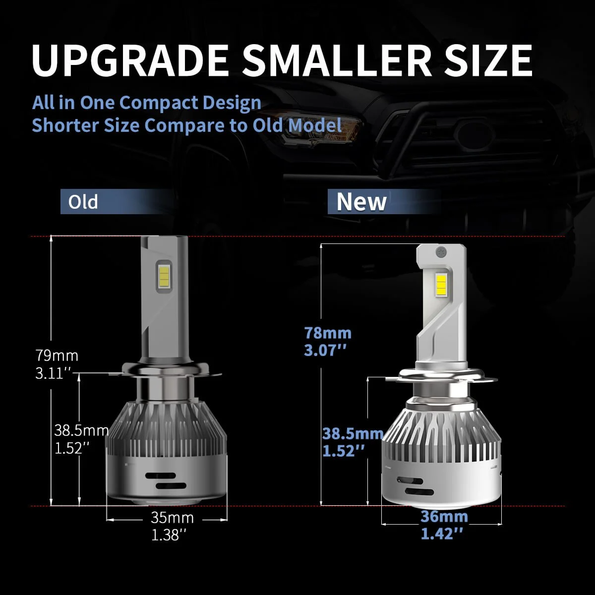 14.LasFitledbulbsmallersize_2e3725de-b38a-420f-a794-8f61e398fa34.jpg