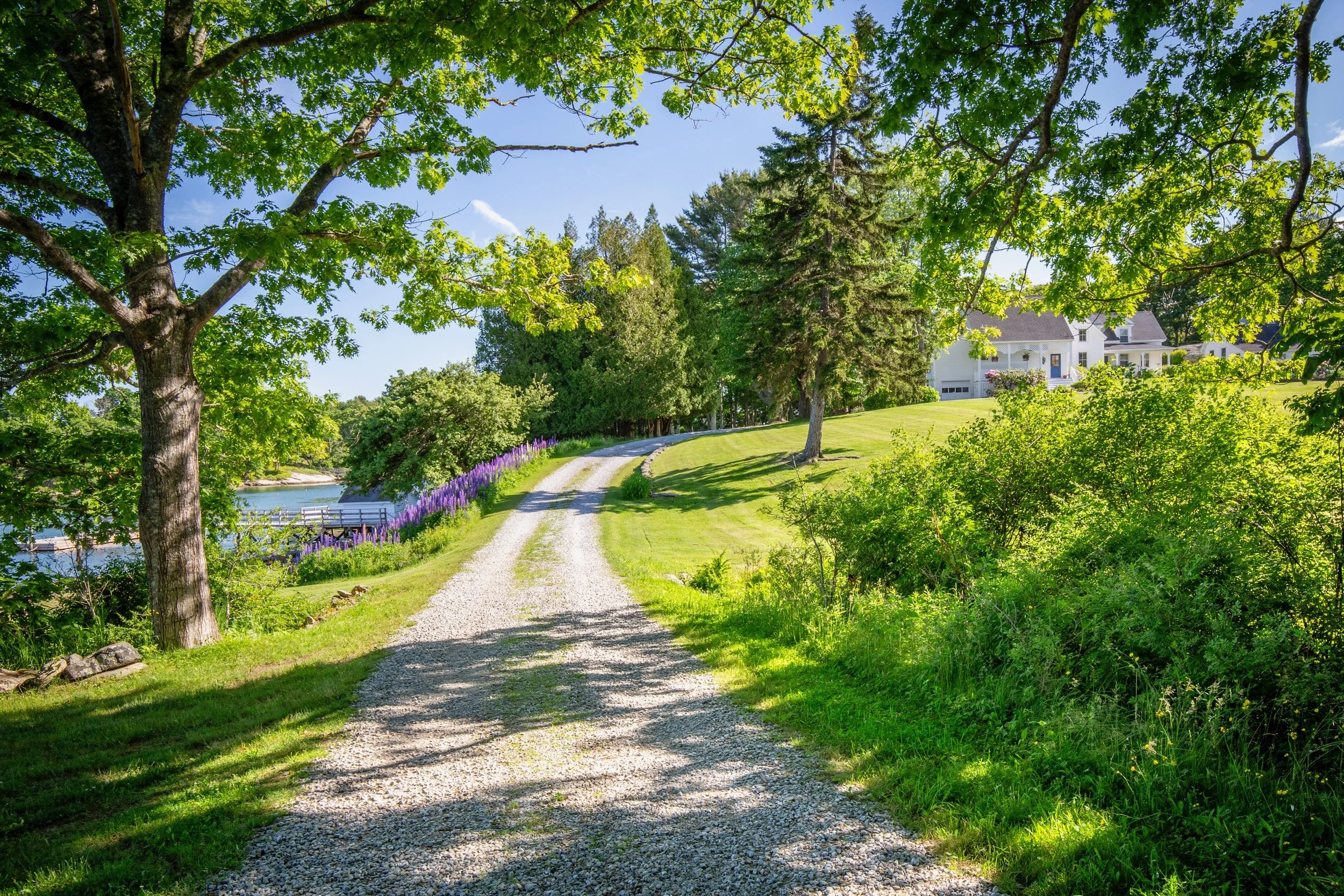 Gravel driveway winding through a lush, green landscape with tall trees and a house in the background under a clear blue sky.