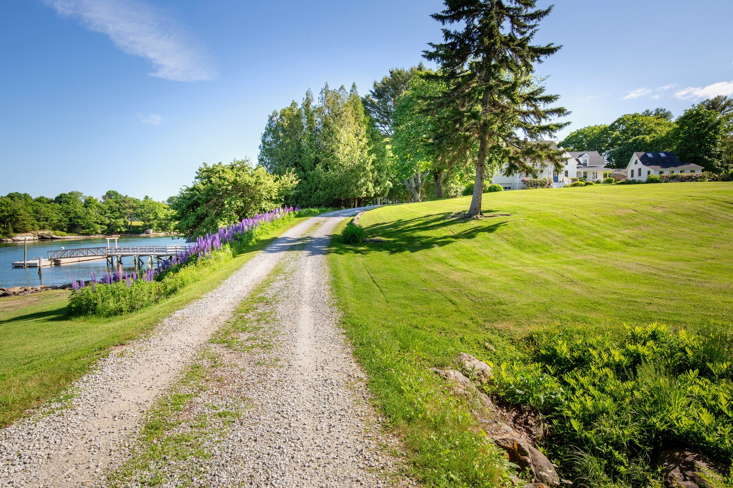 A gravel driveway curves past lush green grass, trees, and purple flowers, leading to white houses under a bright blue sky with a few clouds.