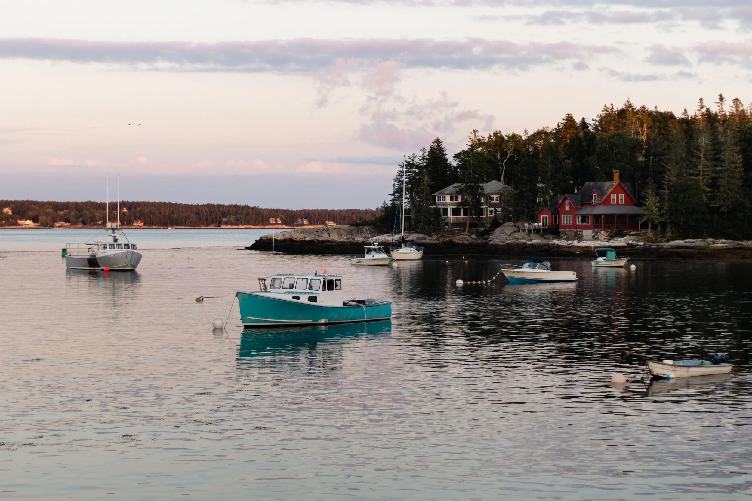 A peaceful harbor scene at sunset with several boats floating on calm water, and houses with trees on the shoreline.