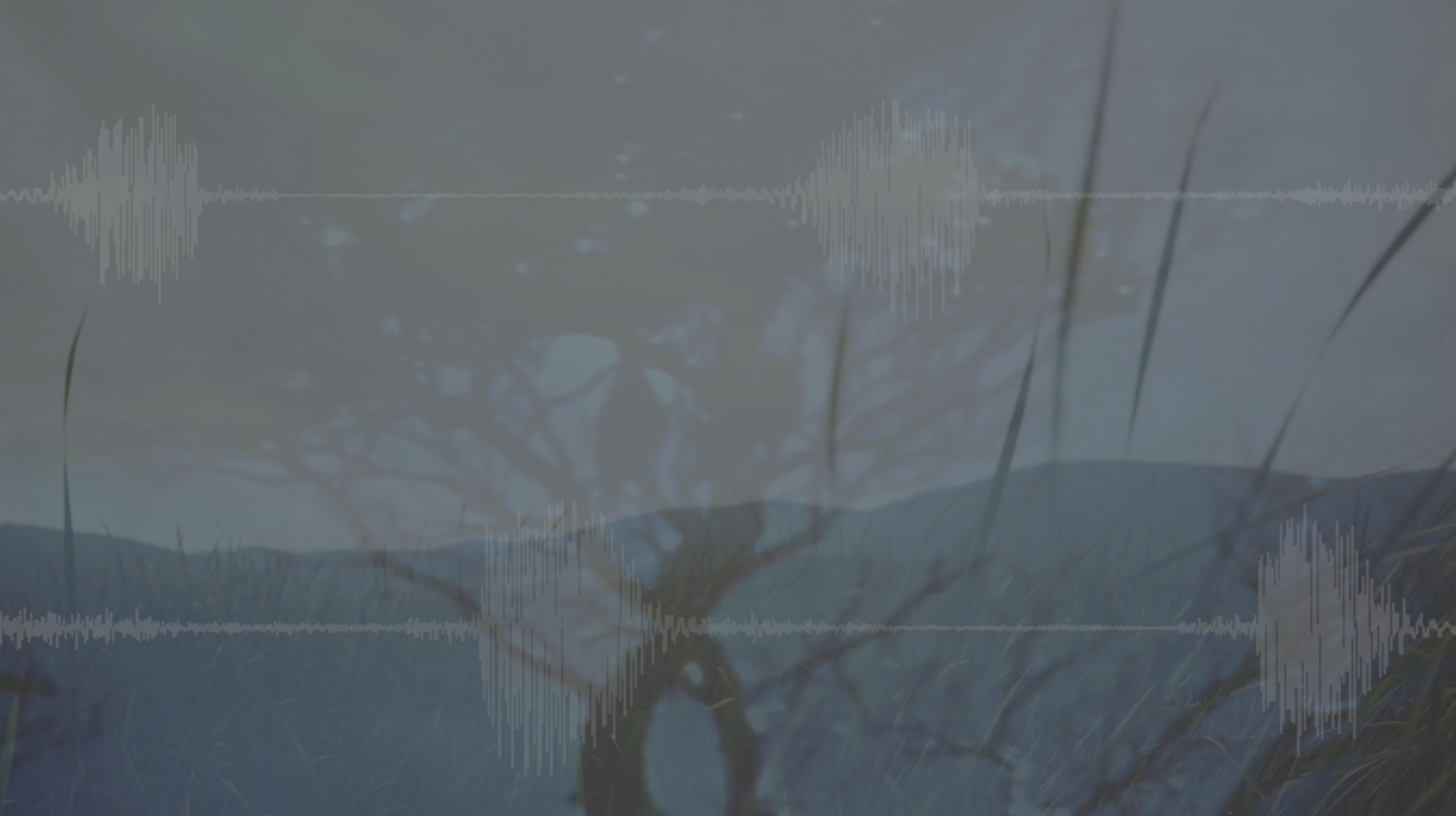 Screenshot 2026-07-07 at 3.29.19 PM.png