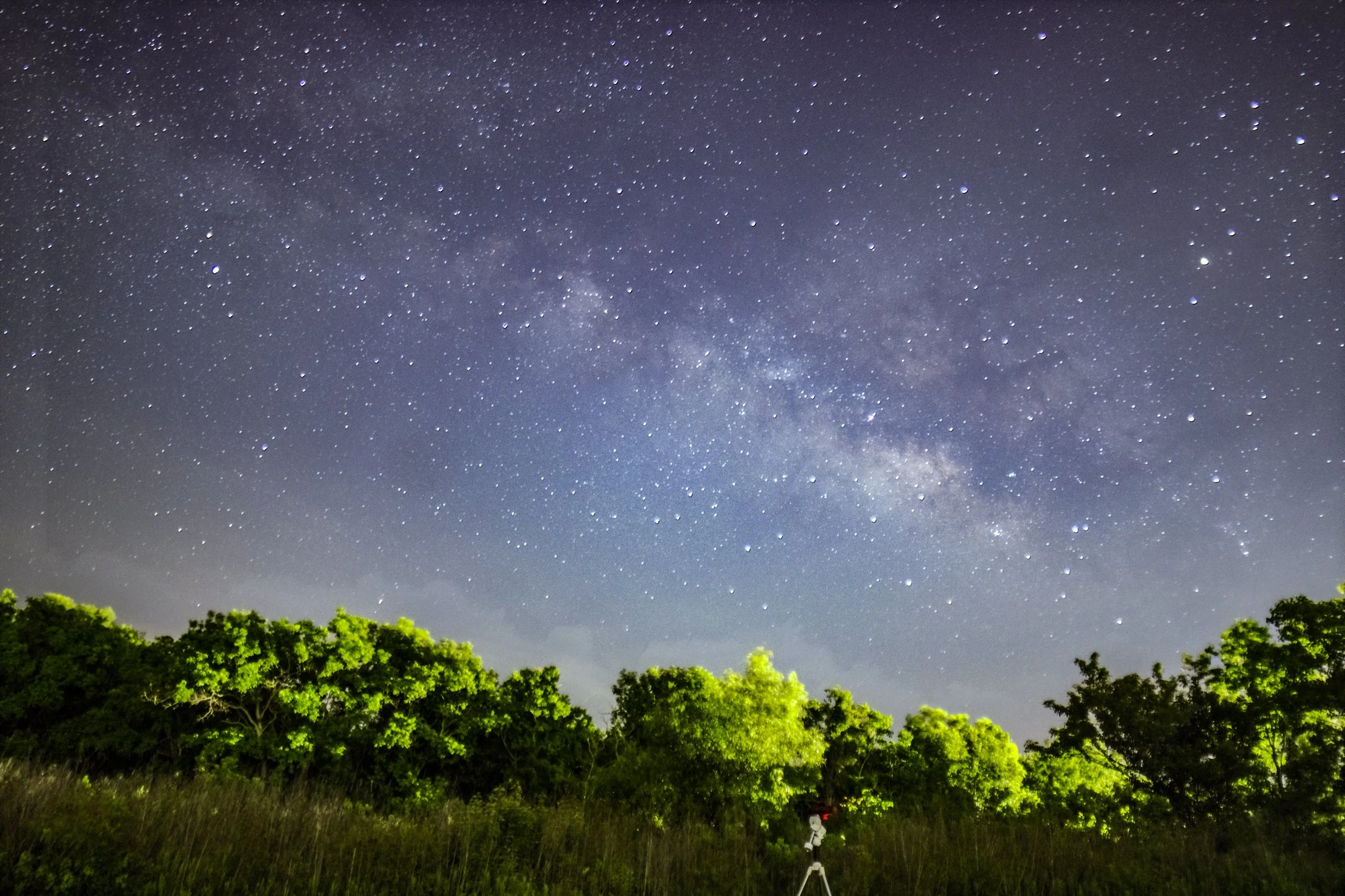 The night sky with numerous stars and the Milky Way galaxy visible over a green, tree-covered landscape.