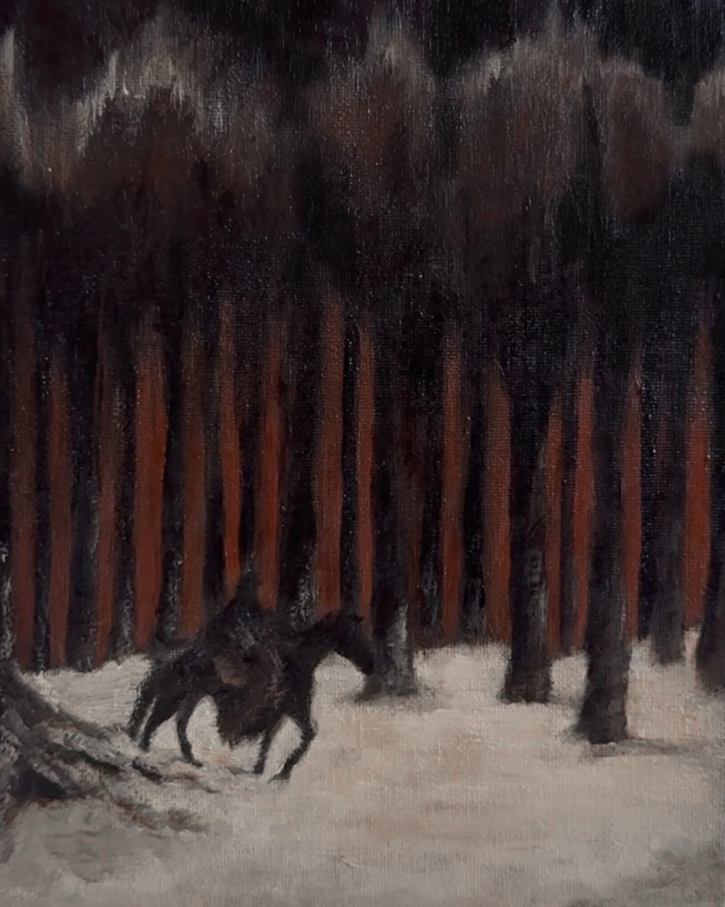 Wayinthewilderness.png