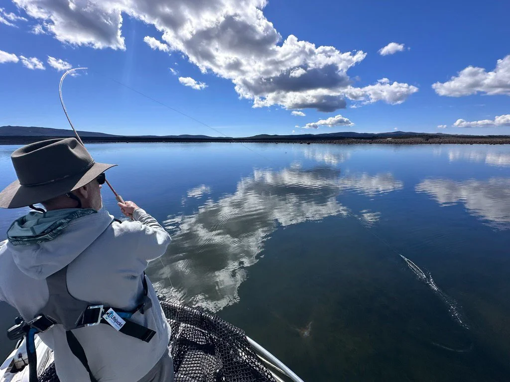 Less Swish, More Fish!