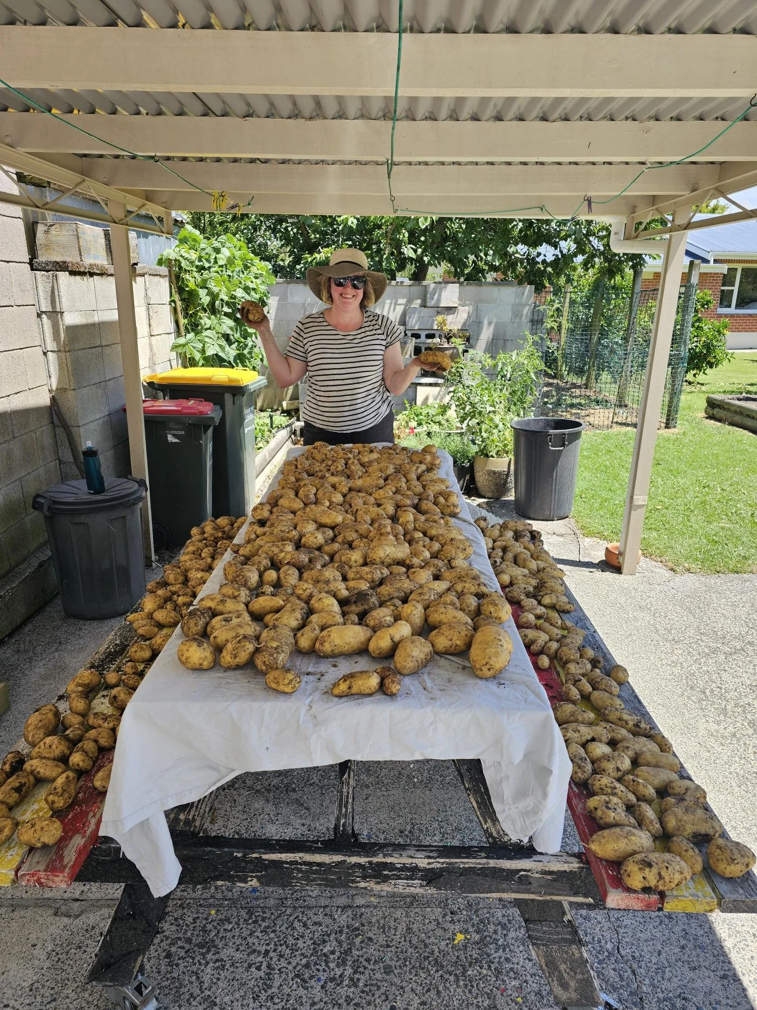 Woman wearing sunglasses, a wide-brimmed hat, and a striped shirt, standing outdoors under a covered area with a table filled with freshly harvested potatoes. She is holding two potatoes, smiling, and surrounded by green plants and gardening tools.
