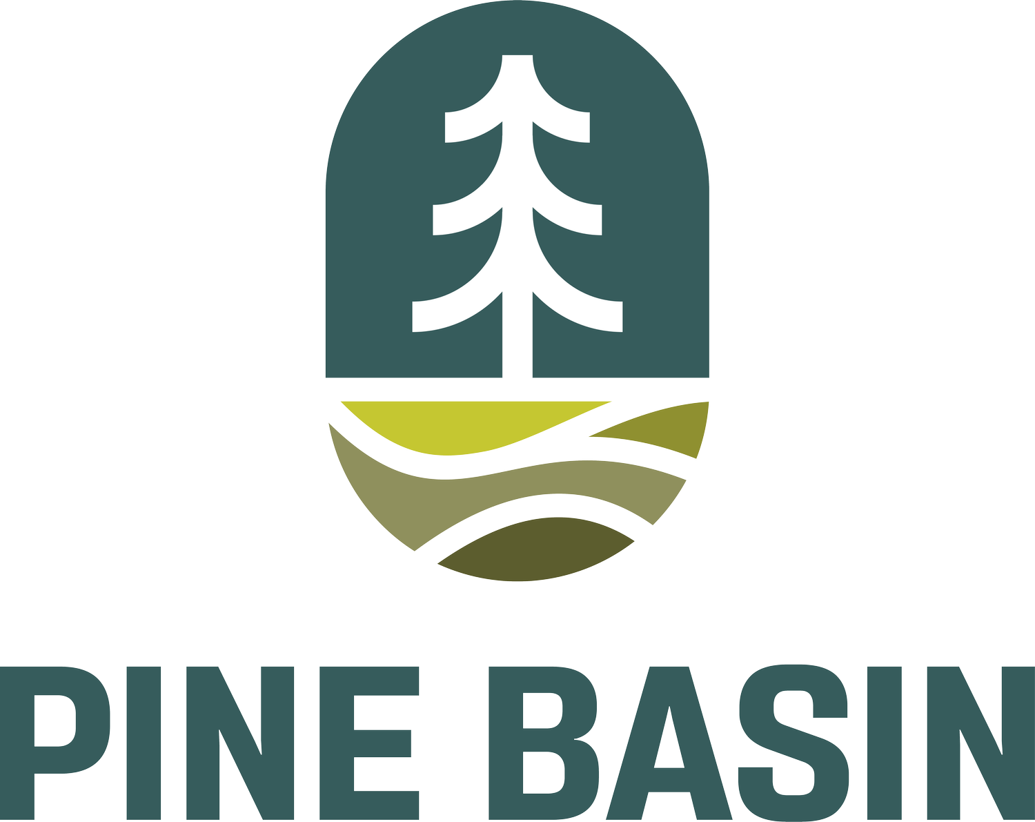 Pine Basin LLC